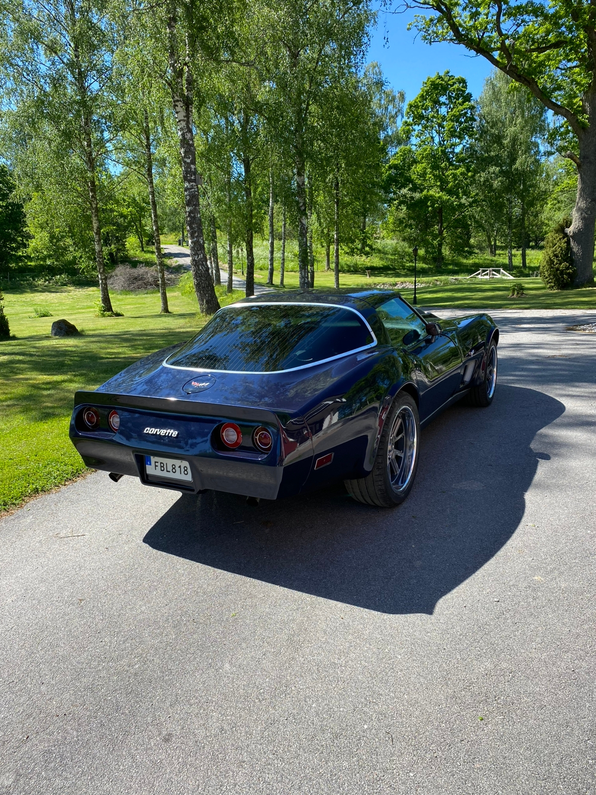 Chevrolet Corvette 5.7 V8 Manuell 1979, bild 7/10