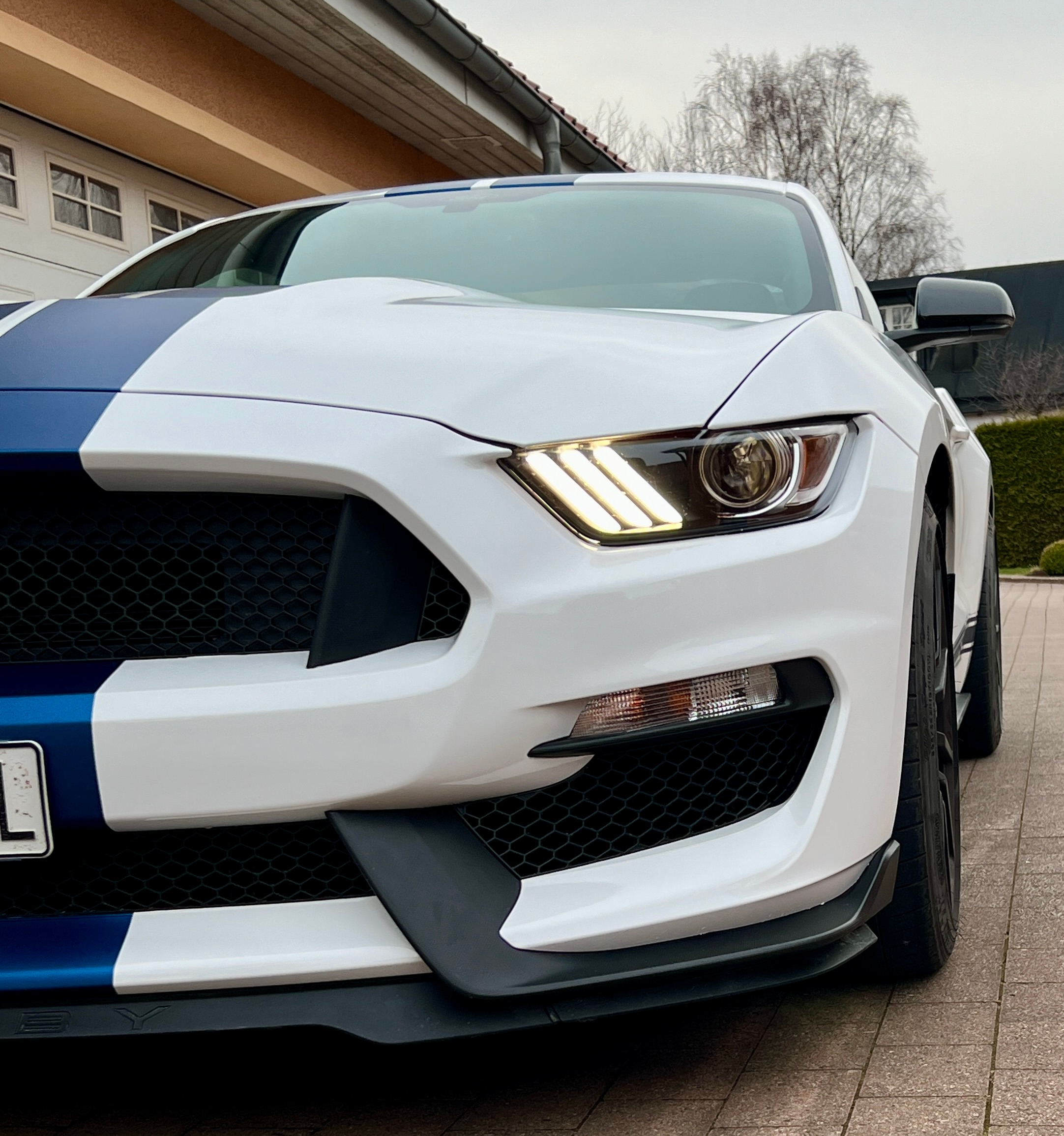 Ford Mustang Shelby GT350 Manuell 2017, bild 4/6