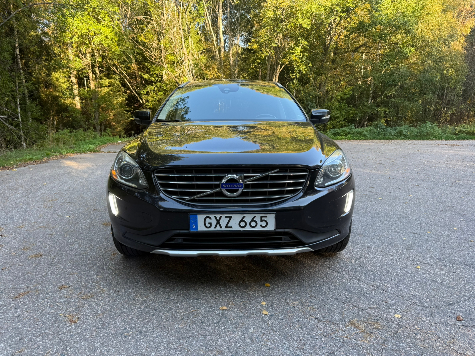 Volvo XC60 D4 AWD SUMMUM AUTOMAT NYBESS 2015, bild 3/10
