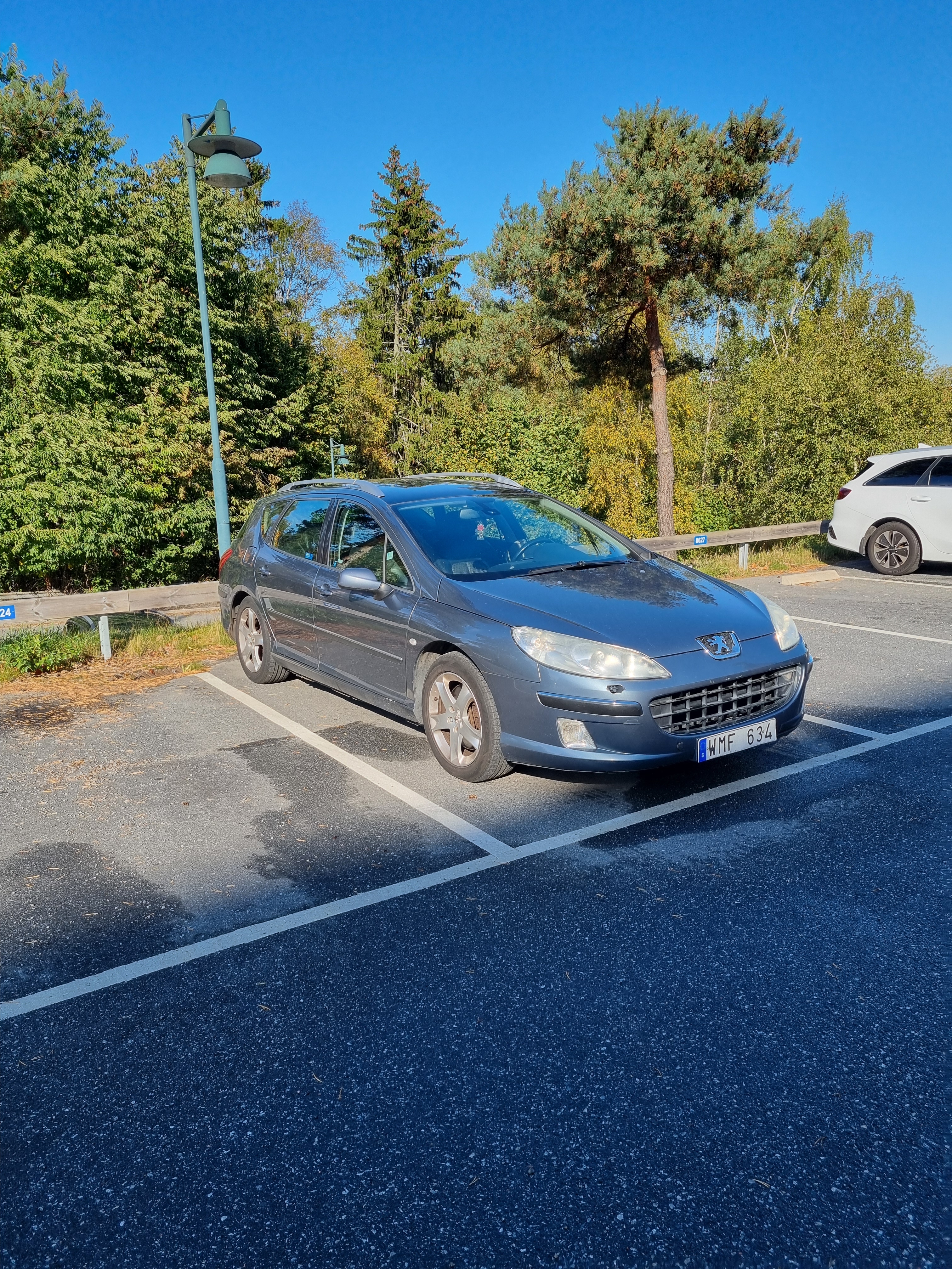 Peugeot 407