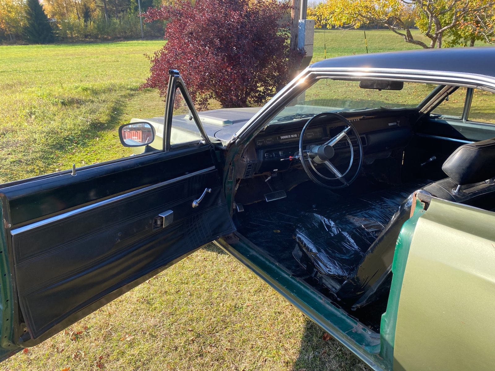 Plymouth Roadrunner 1969, bild 7/8