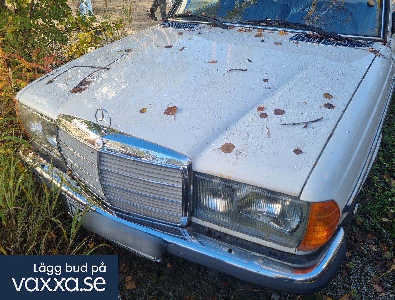 Mercedes-Benz 280 123 Sedan 1978, bild 4/10