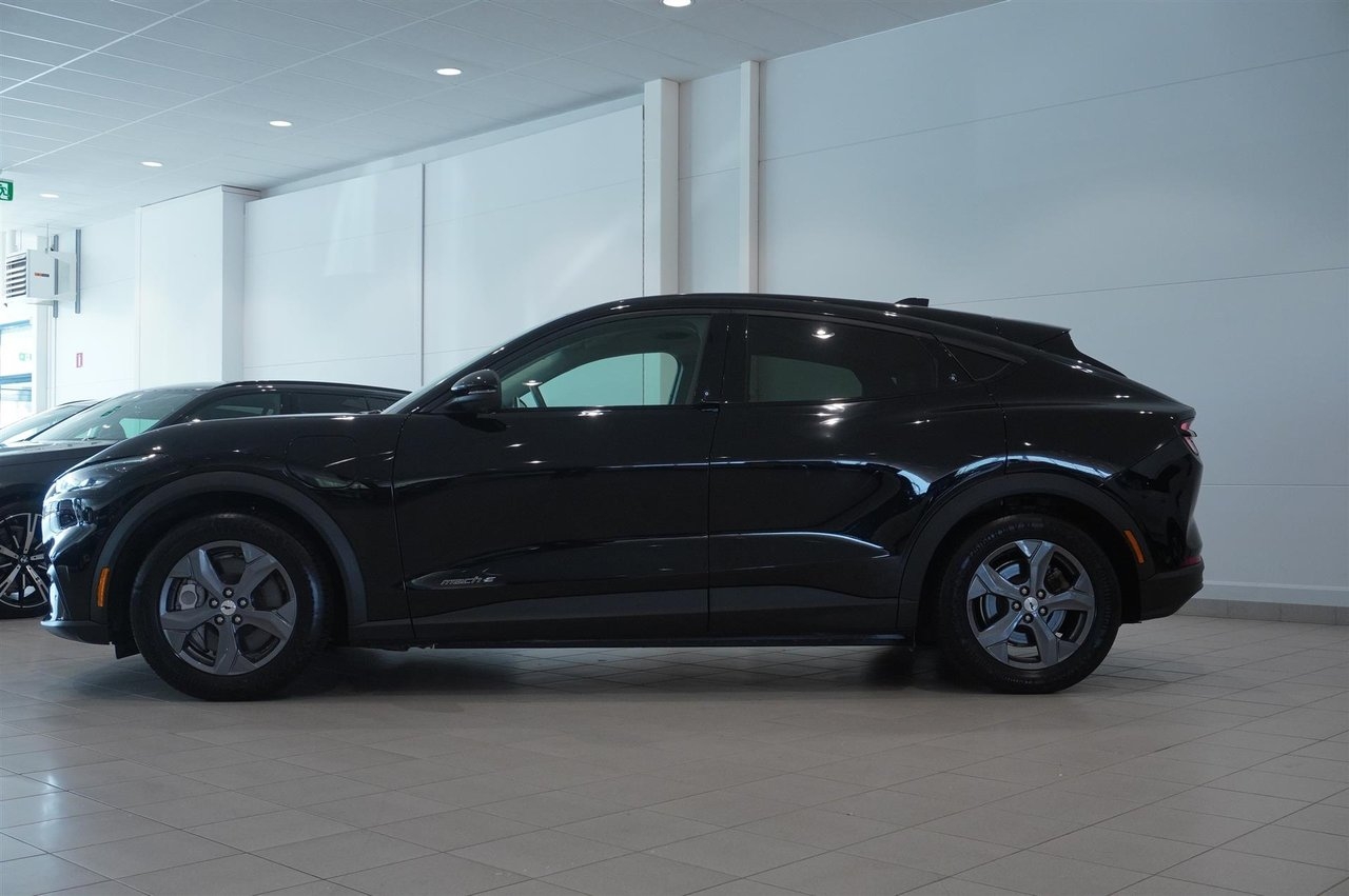 Ford Mustang Mach-E 2022, bild 3/10