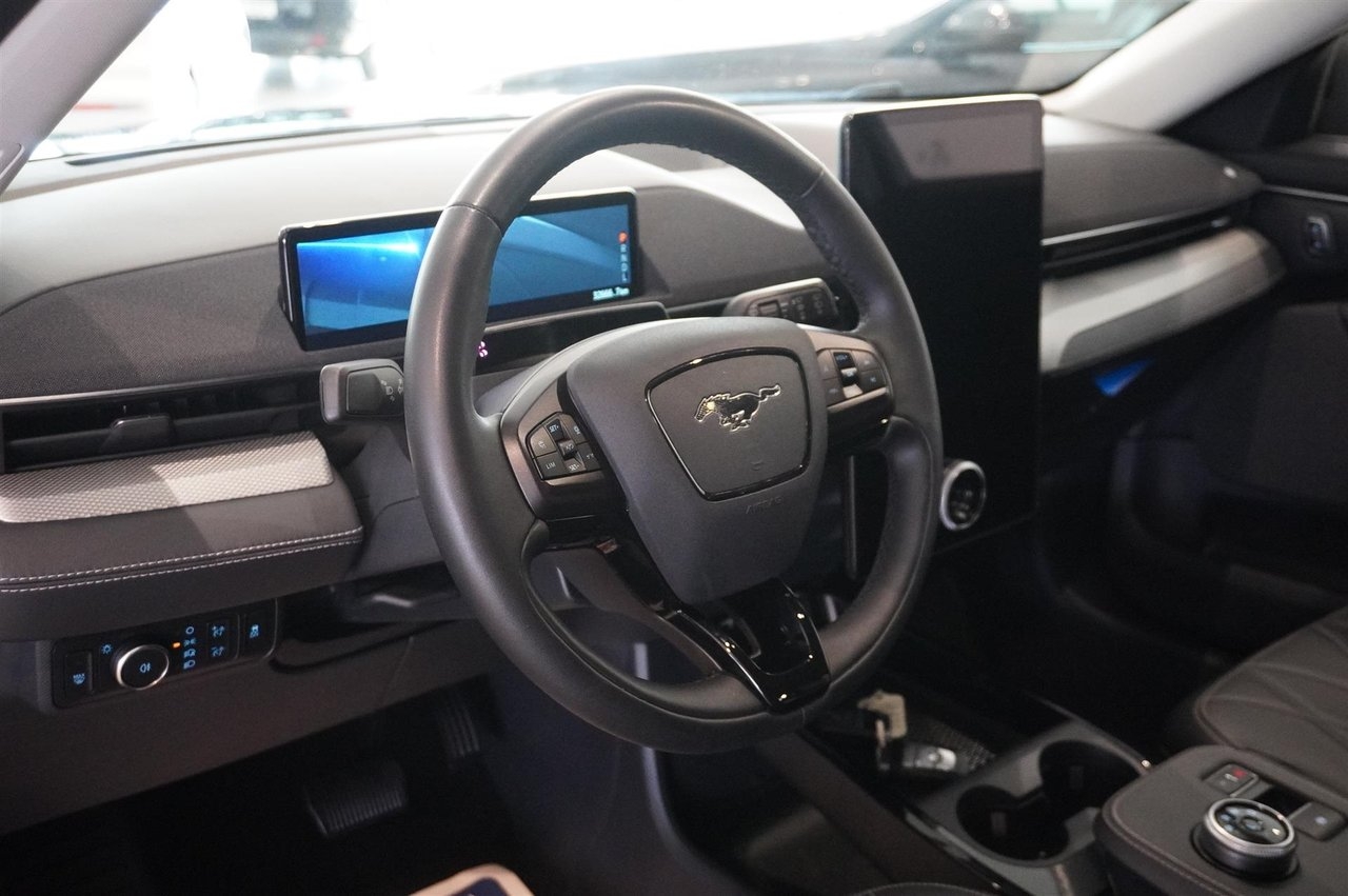 Ford Mustang Mach-E 2022, bild 2/10