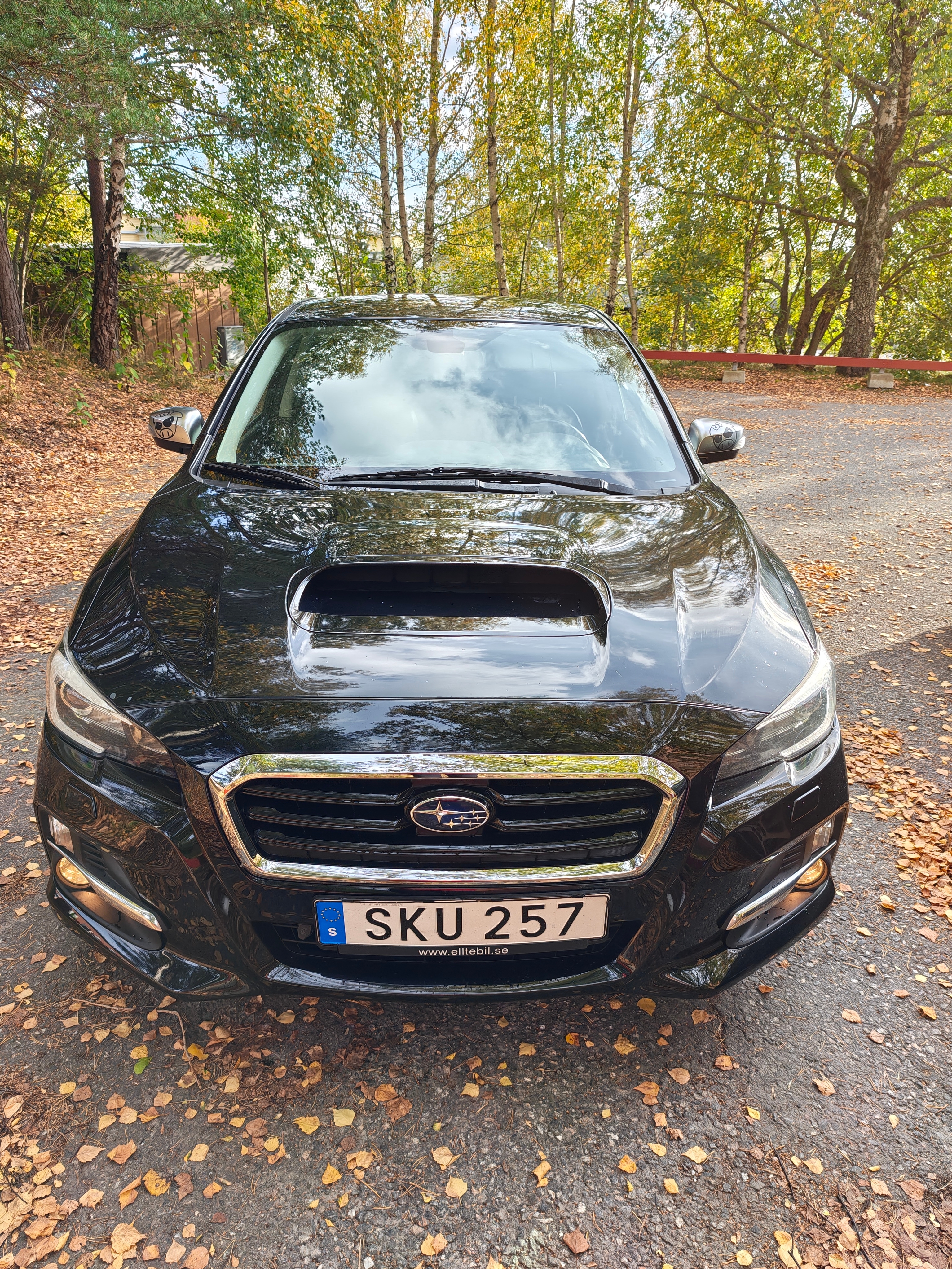 Subaru Levorg