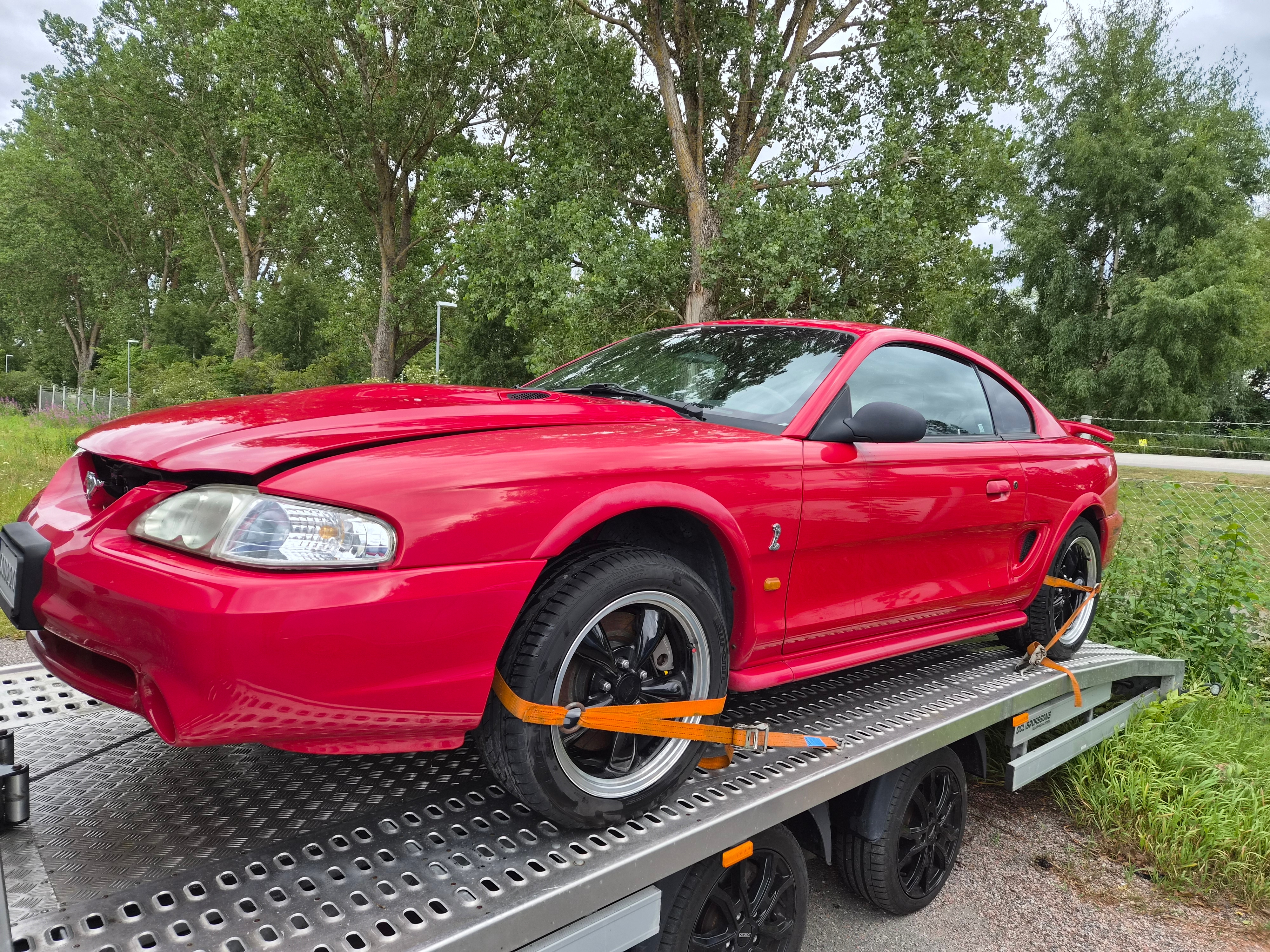 Ford Mustang SVT Cobra Manuell 1997, bild 6/6