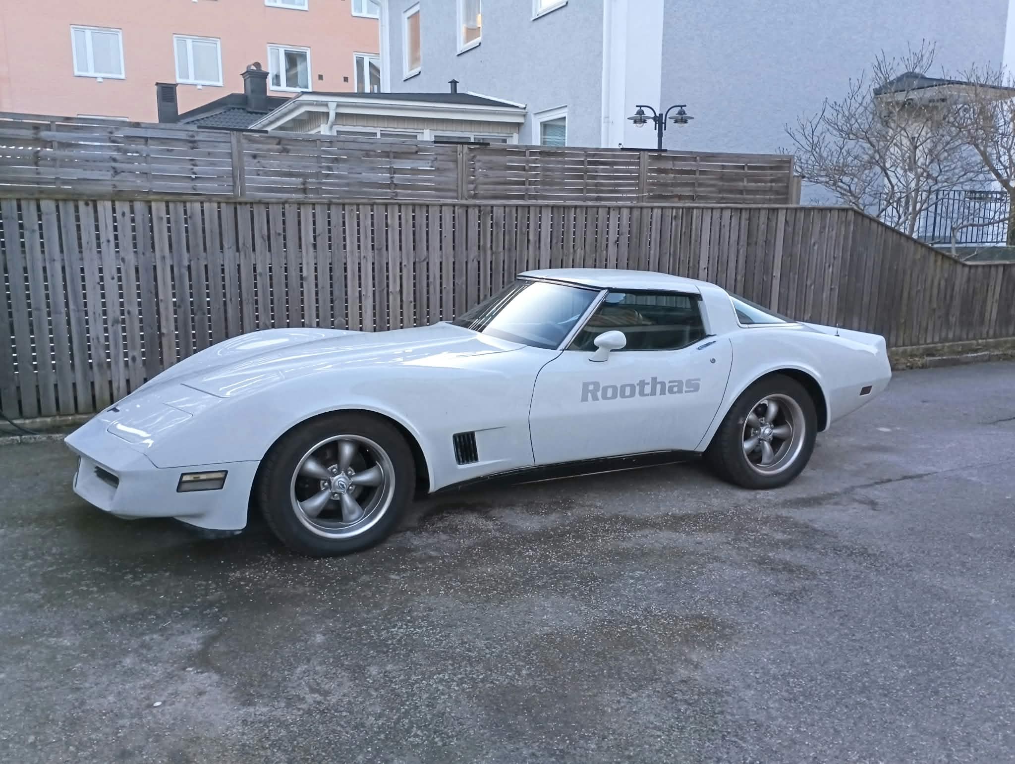 Chevrolet Corvette Manuell 1981, bild 6/9