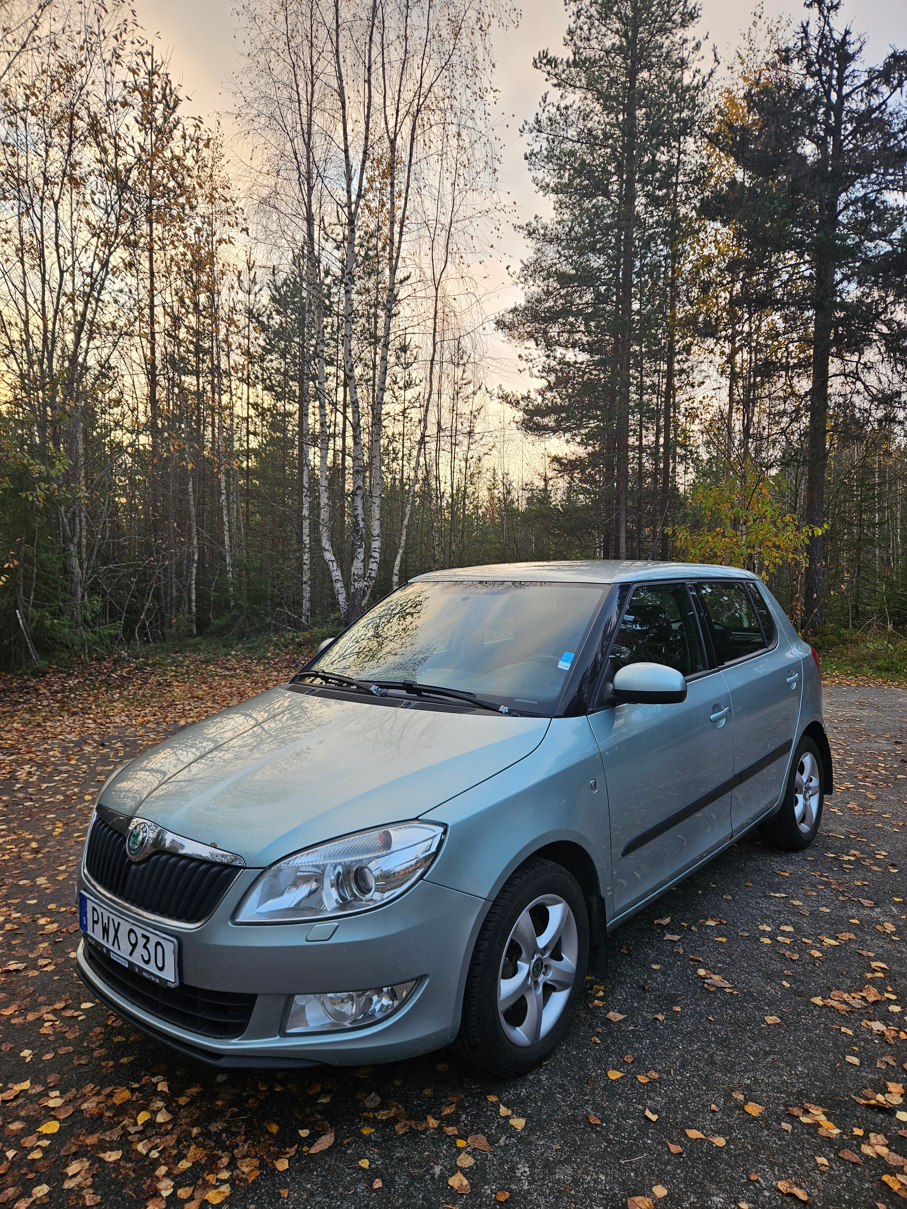 Skoda Fabia 1.2 12v Manuell 2011, bild 2/5