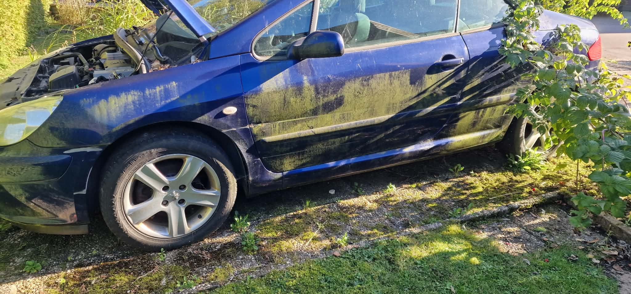 Peugeot 307 CC 2.0 Manuell 2005, bild 4/10