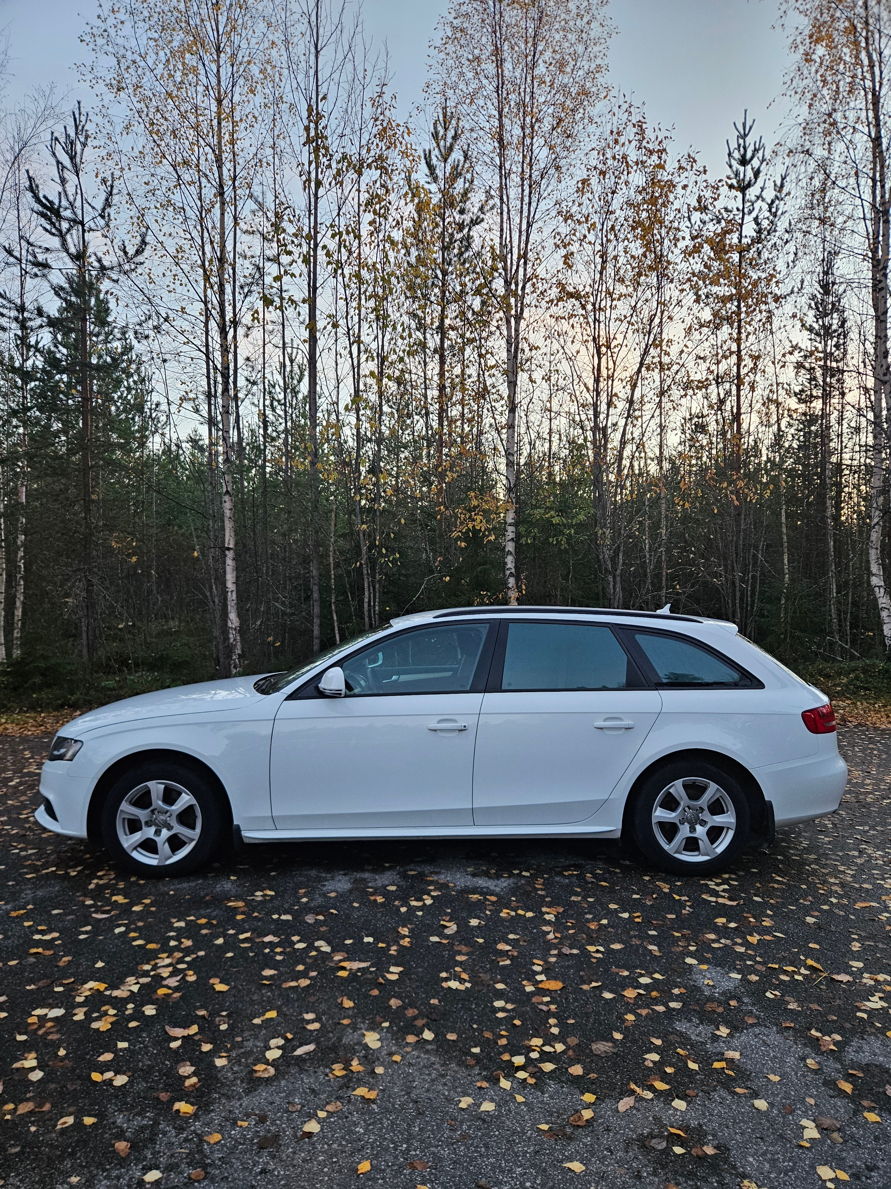 Audi A4 Avant 2.0 TDI DPF Manuell 2009, bild 3/5