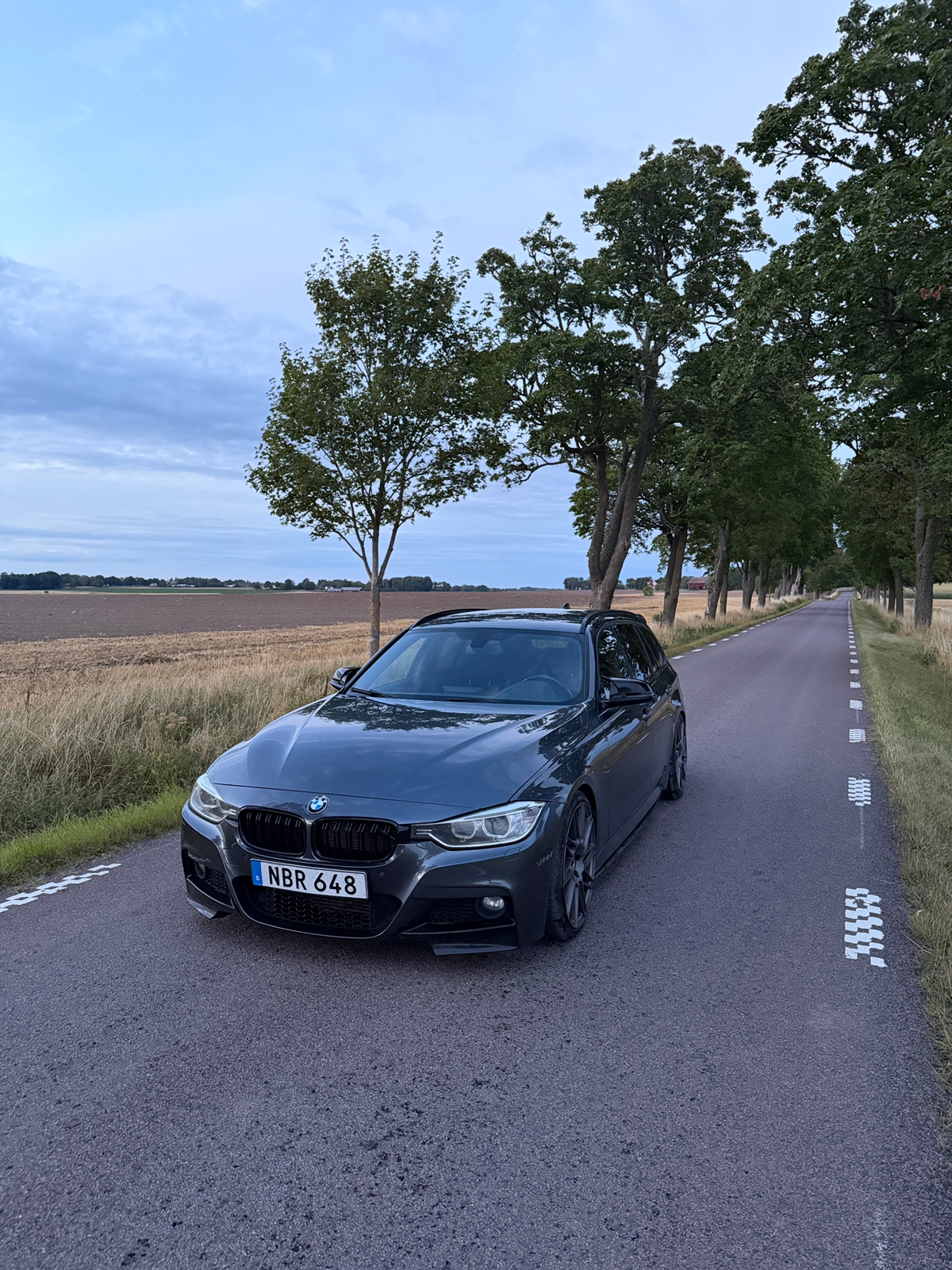 BMW 320 d Touring Steptronic 2013, bild 3/6