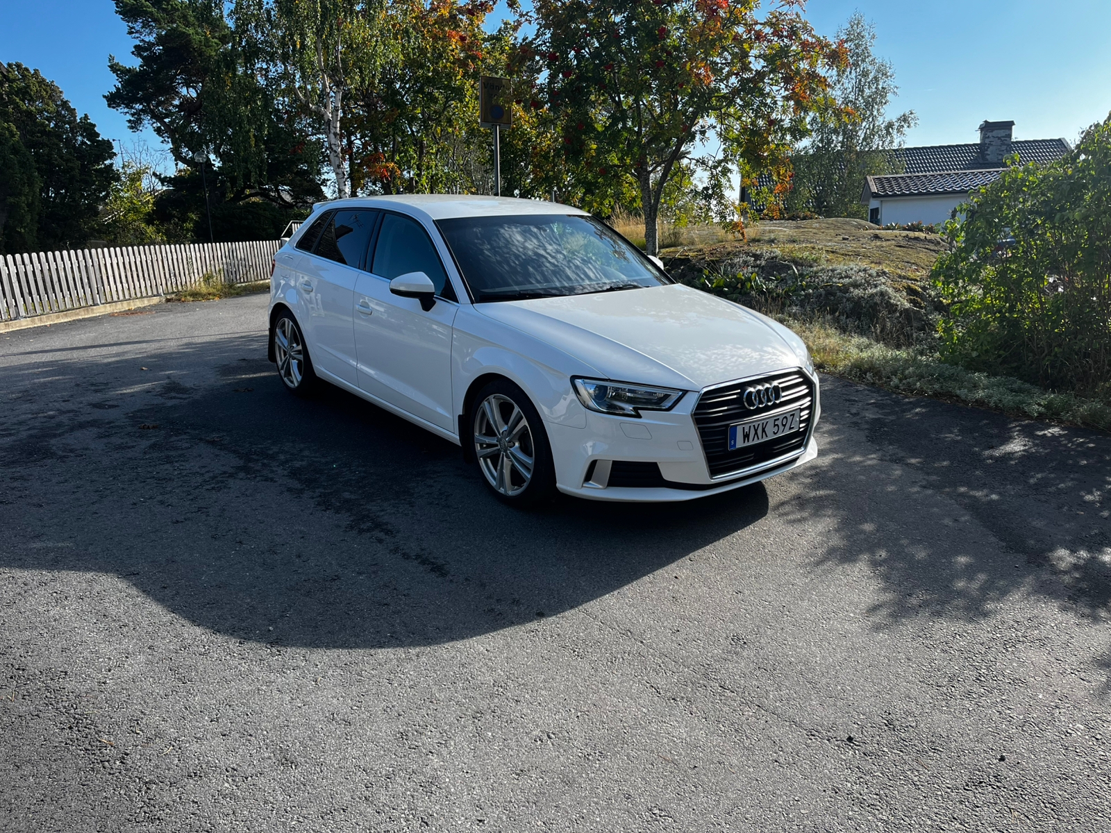 Audi A3 Sportback 35 TFSI S Tronic 2020, bild 2/9