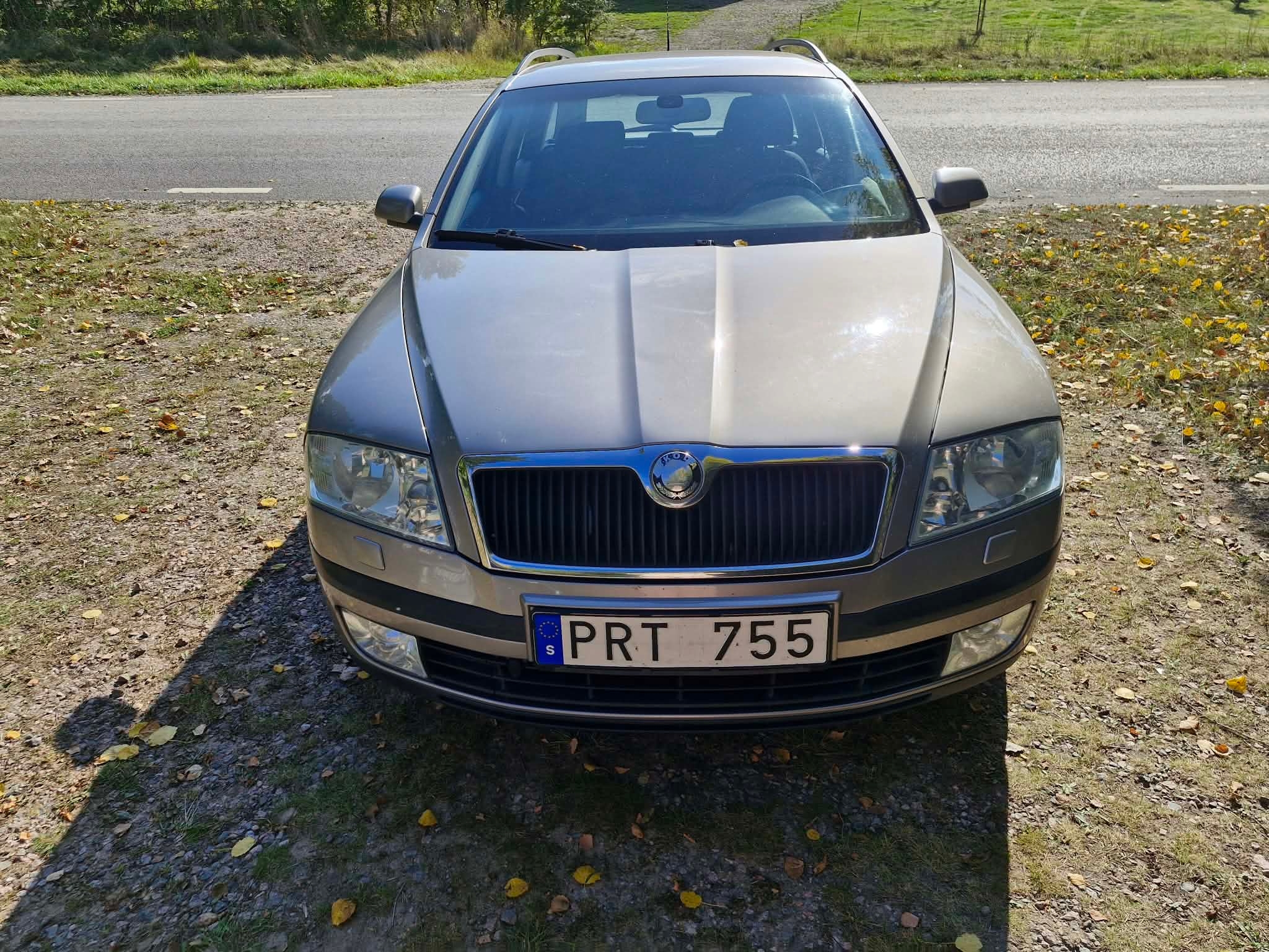 Skoda Octavia Kombi 2.0 FSI Manuell 2007, bild 2/10