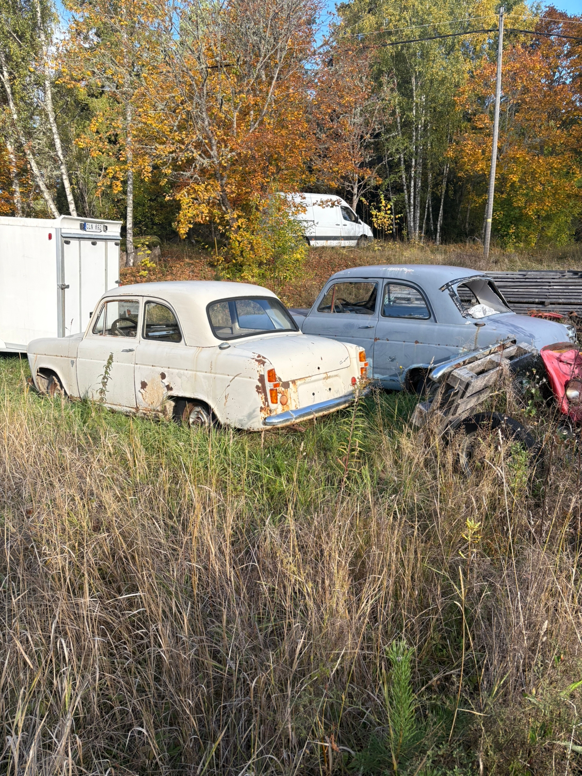 Ford Anglia 1958, bild 3/5