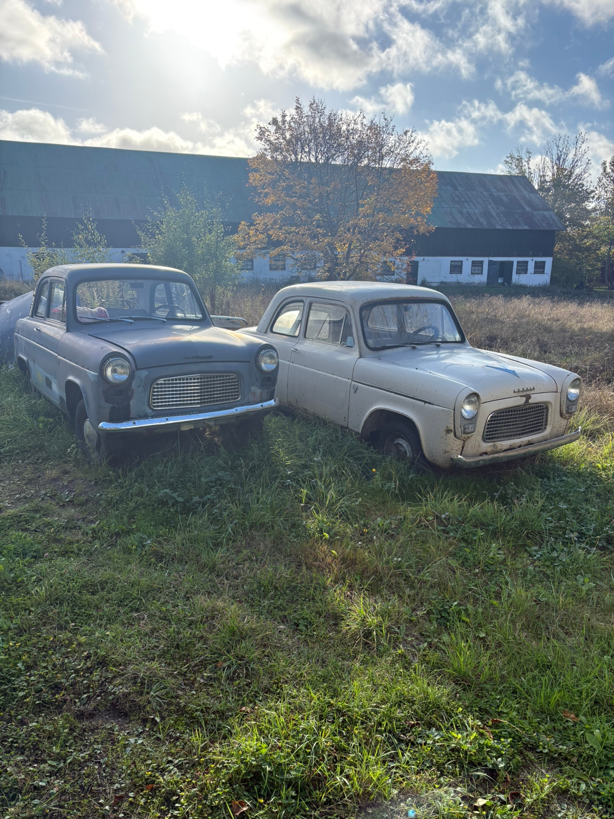 Ford Anglia