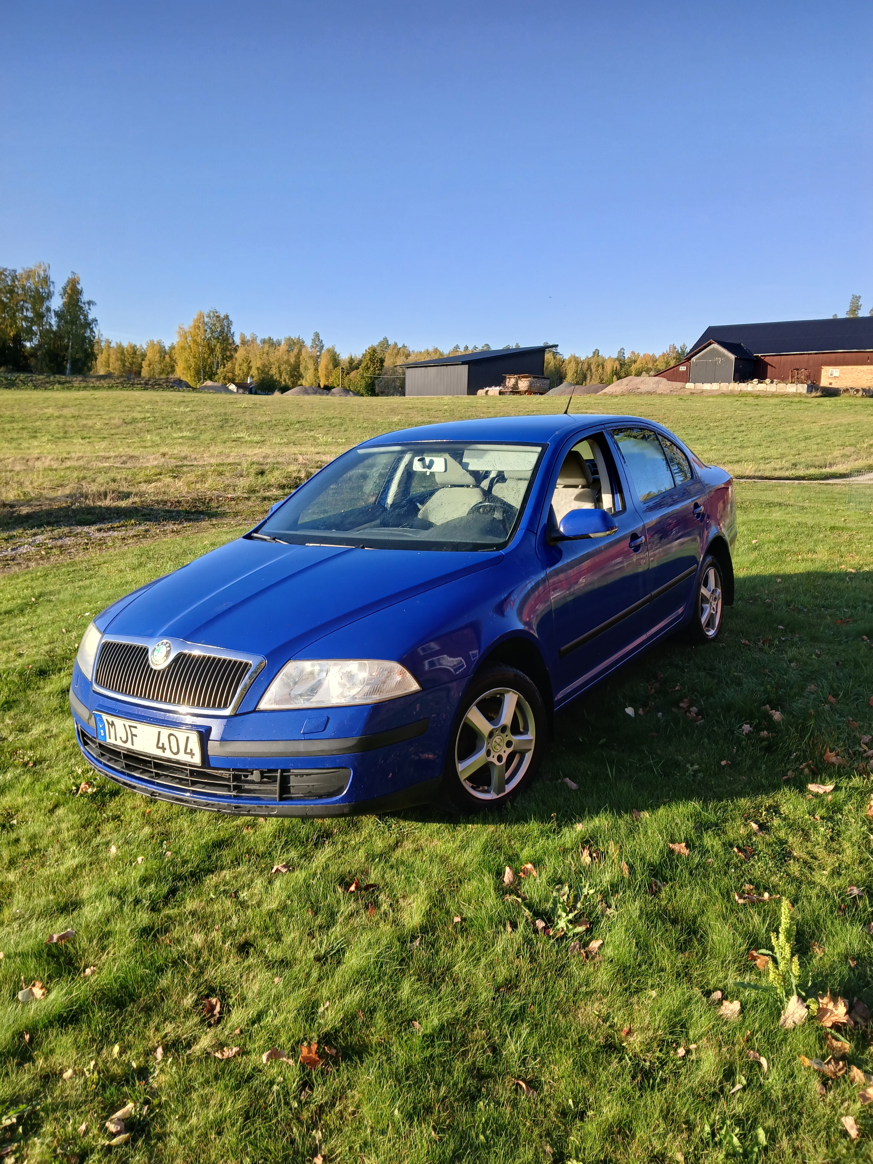 Skoda Octavia 1.6 MPI Multifuel Manuell 2008, bild 2/3