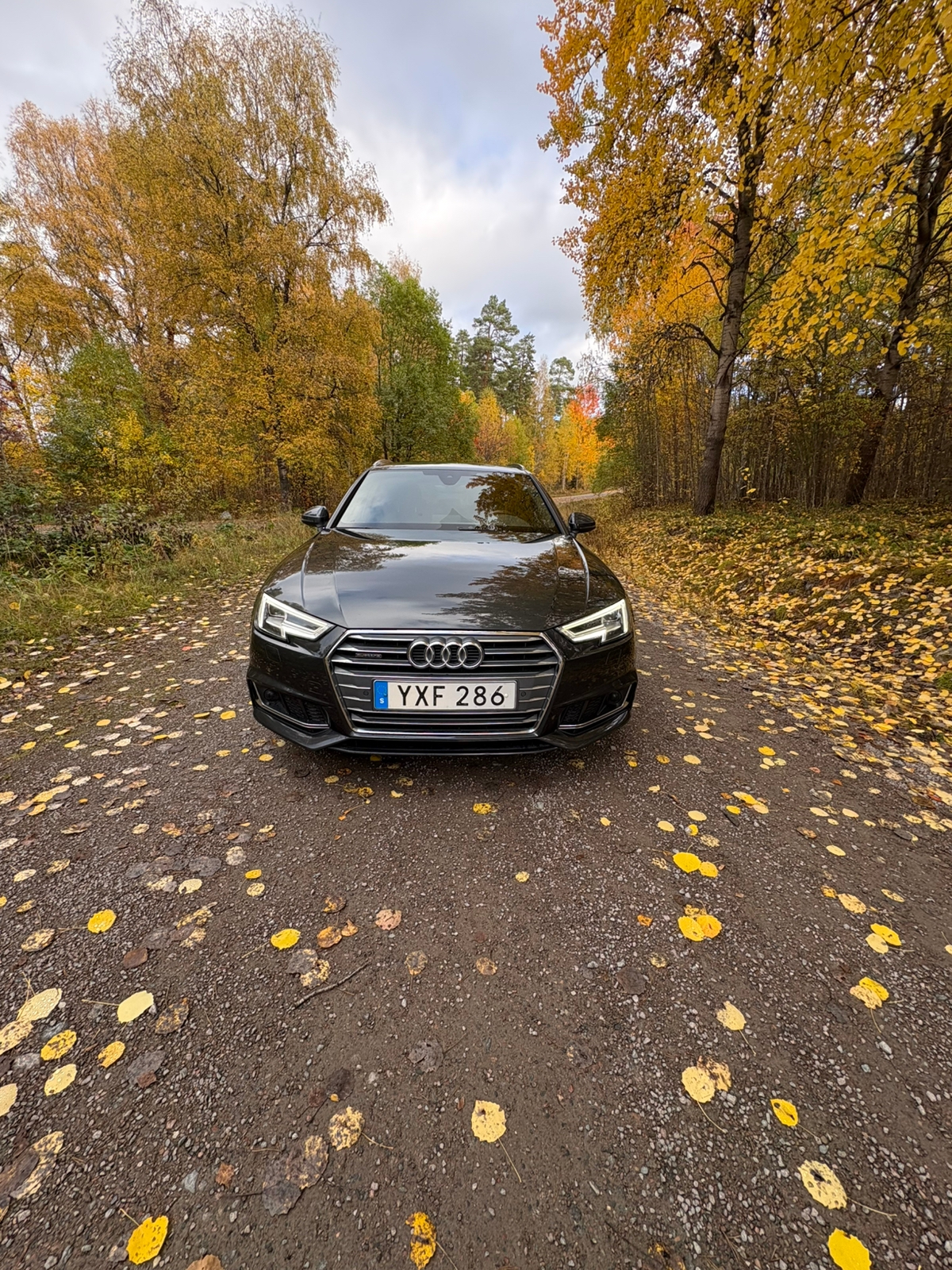 Audi A4 Avant 40 TDI quattro S Tronic 2019, bild 2/9