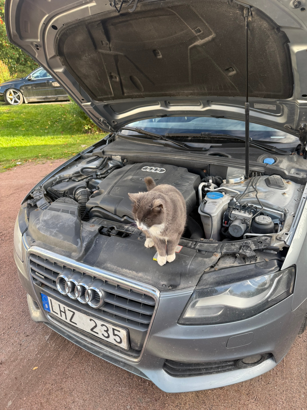 Audi A4 2009, bild 5/6