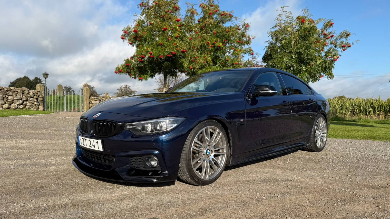BMW 420 d Gran Coupé Steptronic 2018, bild 2/5