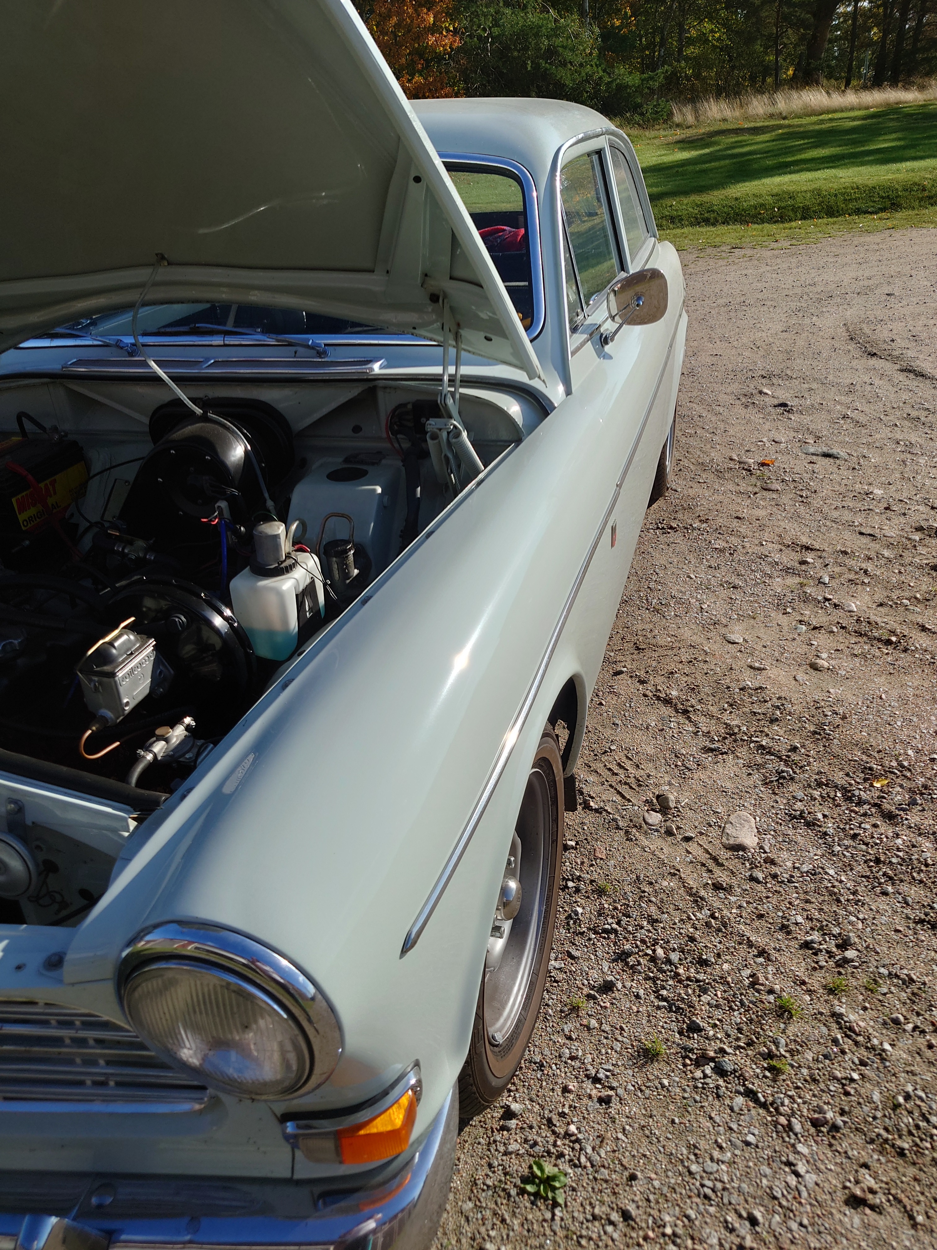 Volvo Amazon