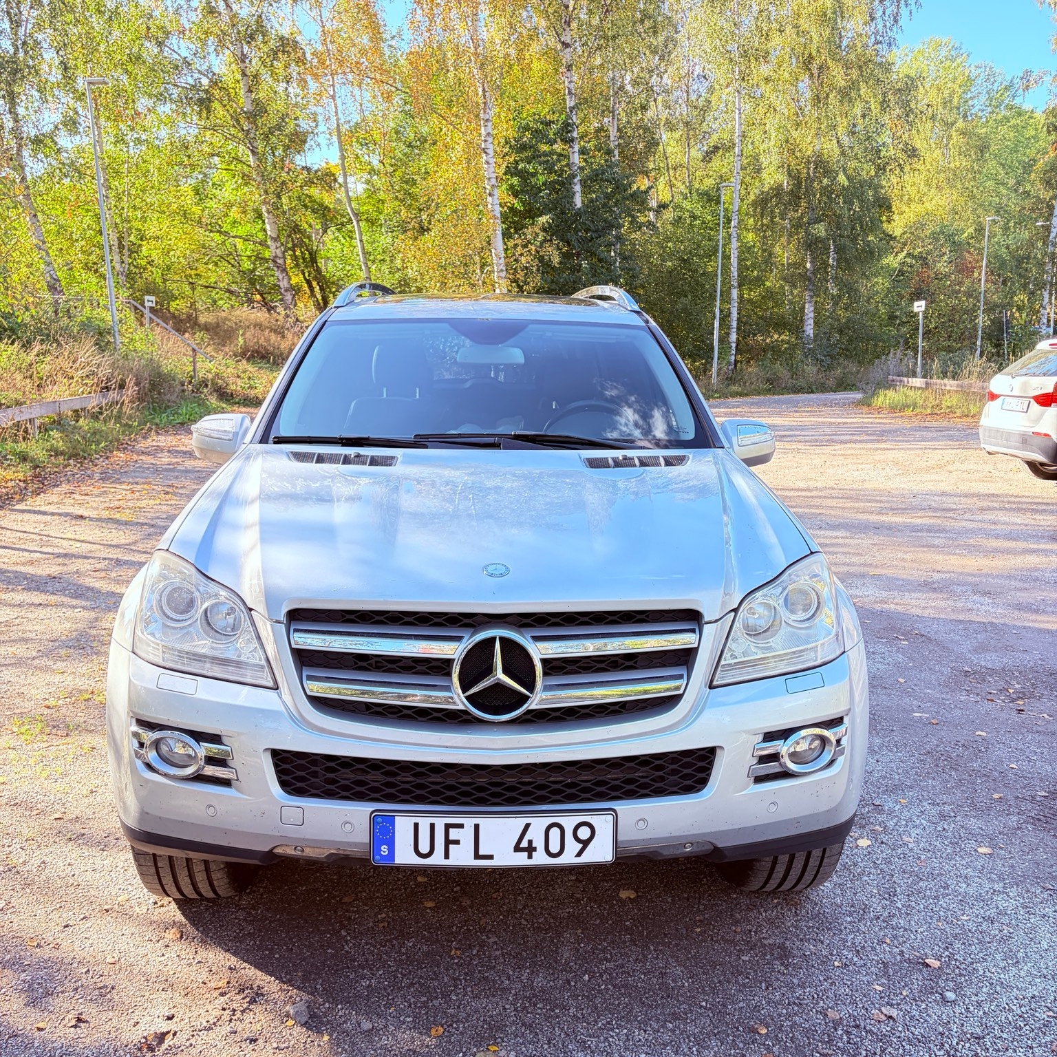Mercedes-Benz GL 2009, photo 2/10