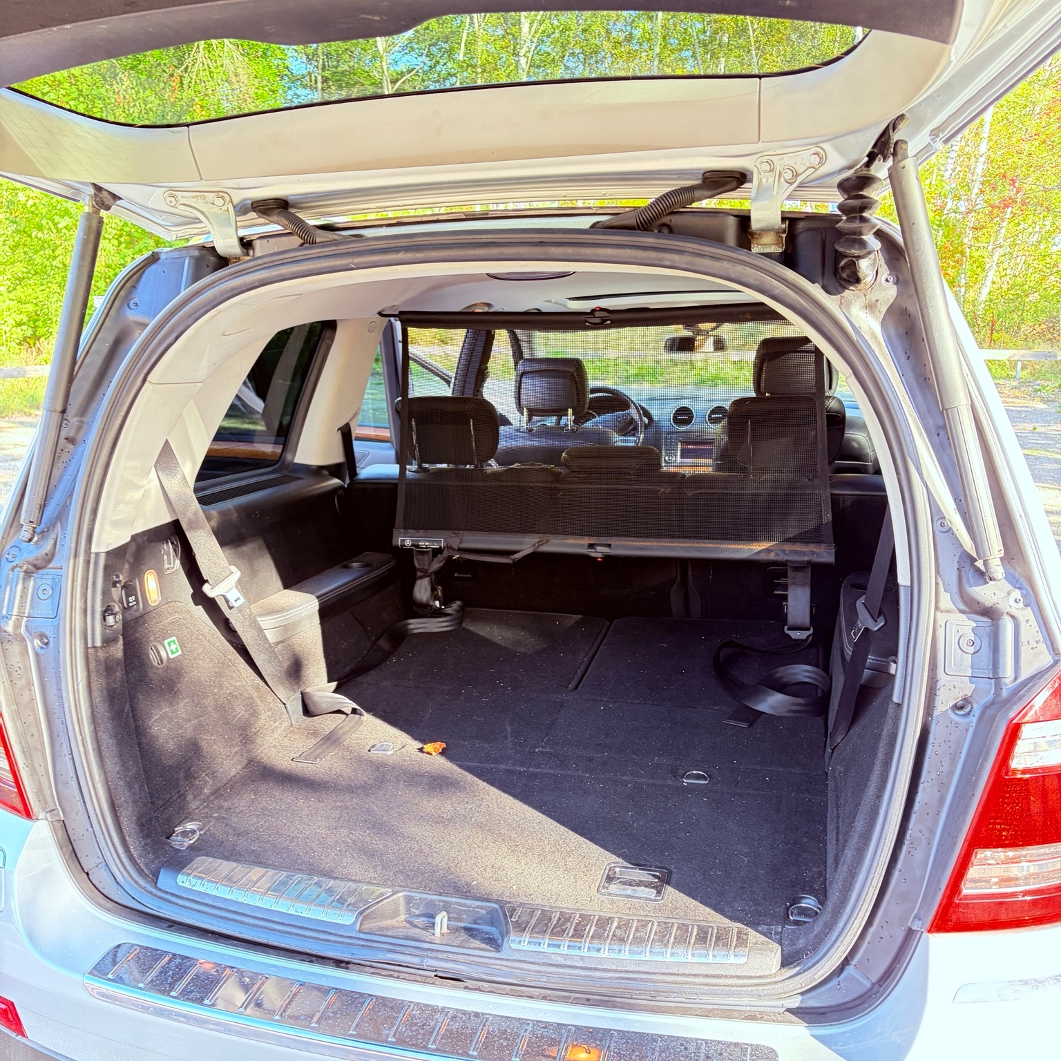 Mercedes-Benz GL 2009, photo 7/10
