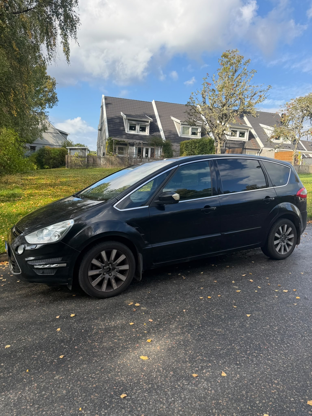 Ford S-MAX 2012, photo 2/8