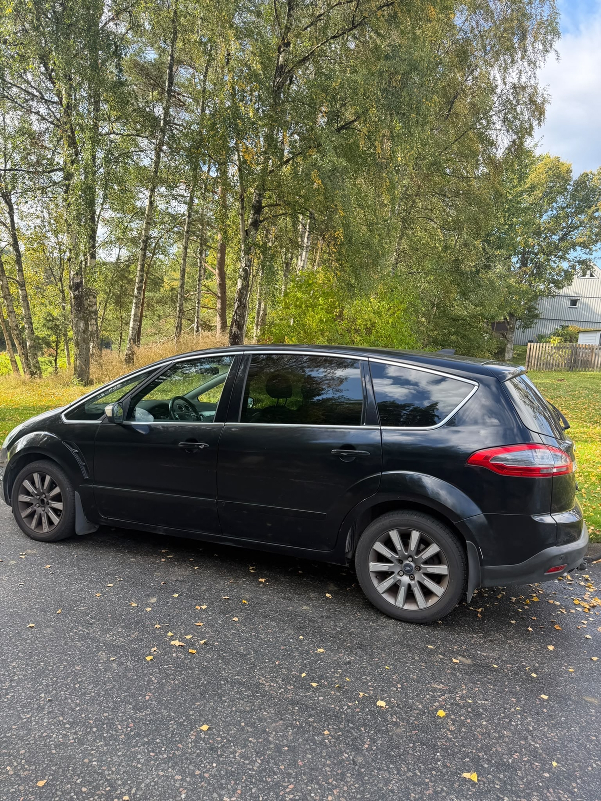 Ford S-MAX 2012, photo 4/8
