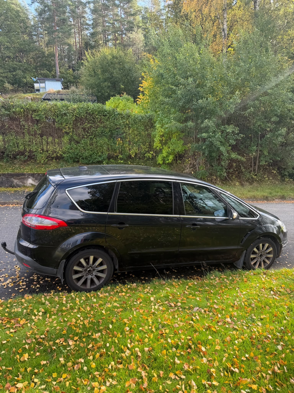 Ford S-MAX 2012, photo 3/8