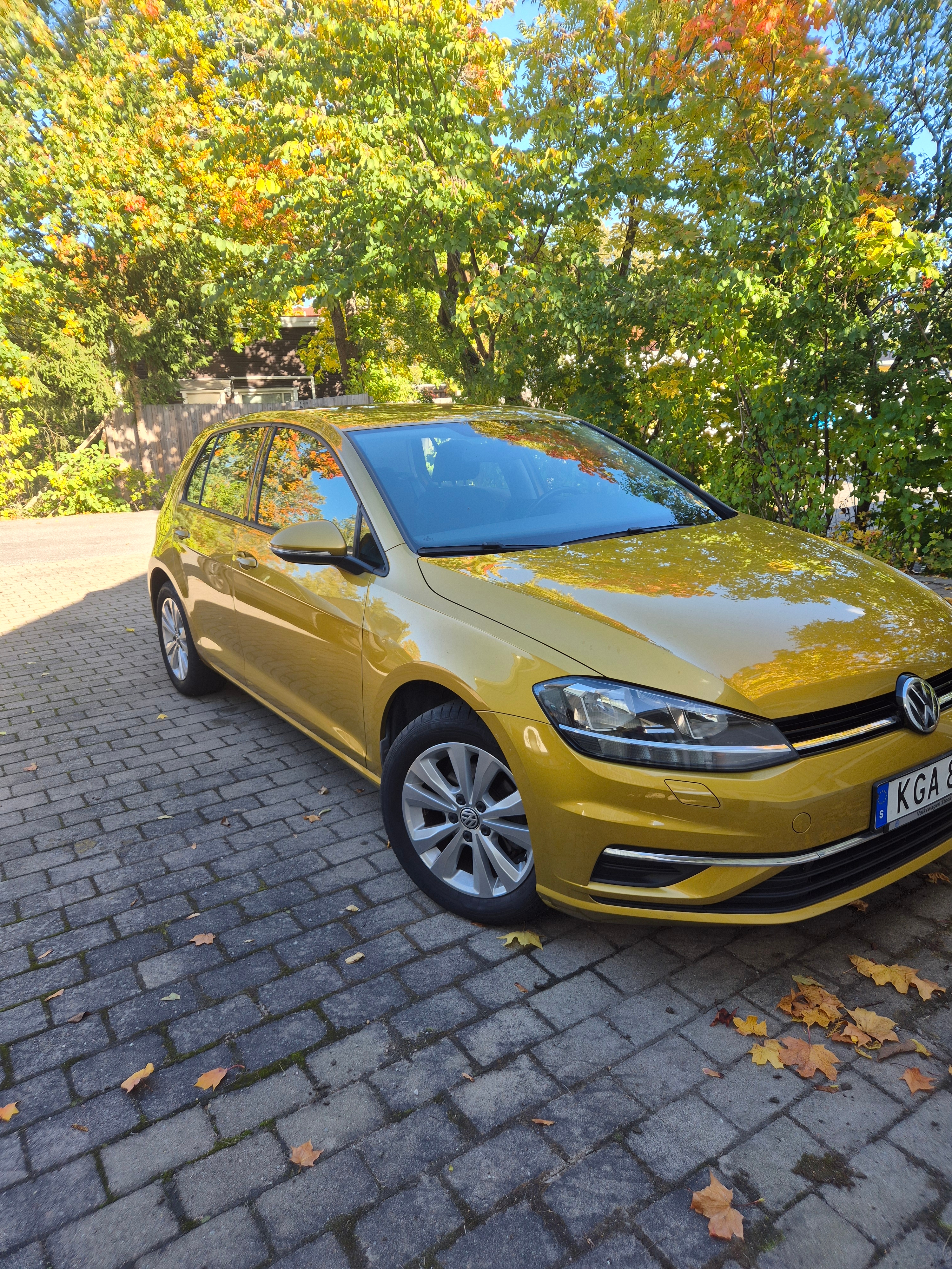 Volkswagen Golf 2018, bild 2/10
