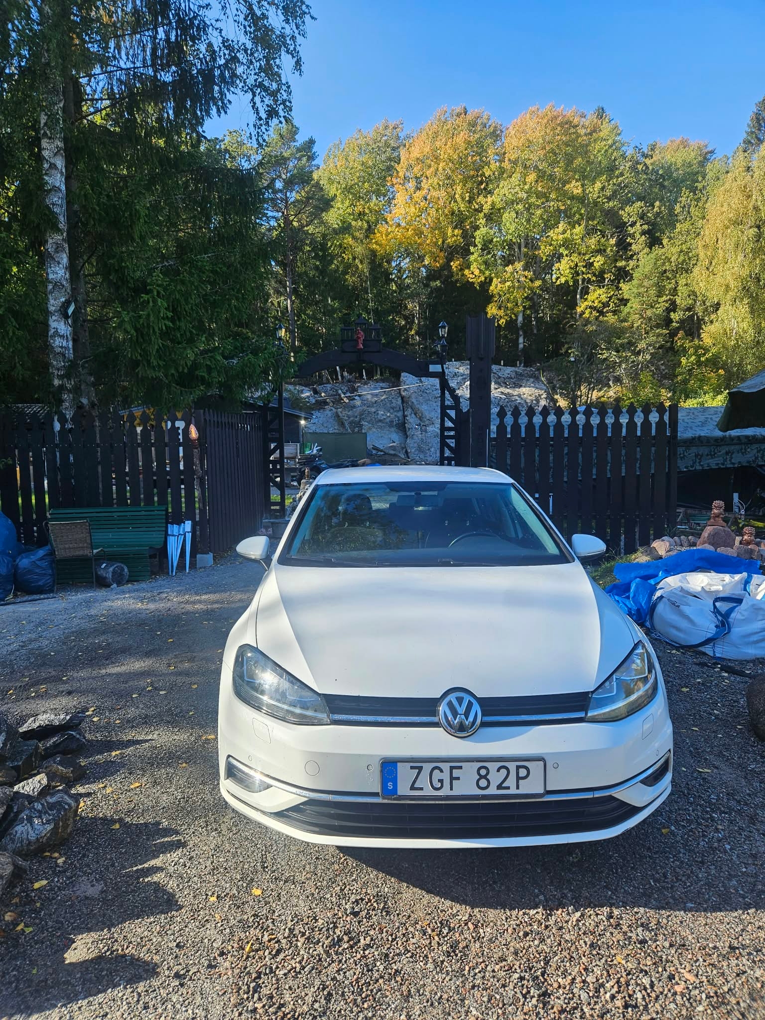 Volkswagen Golf 2019, bild 6/10