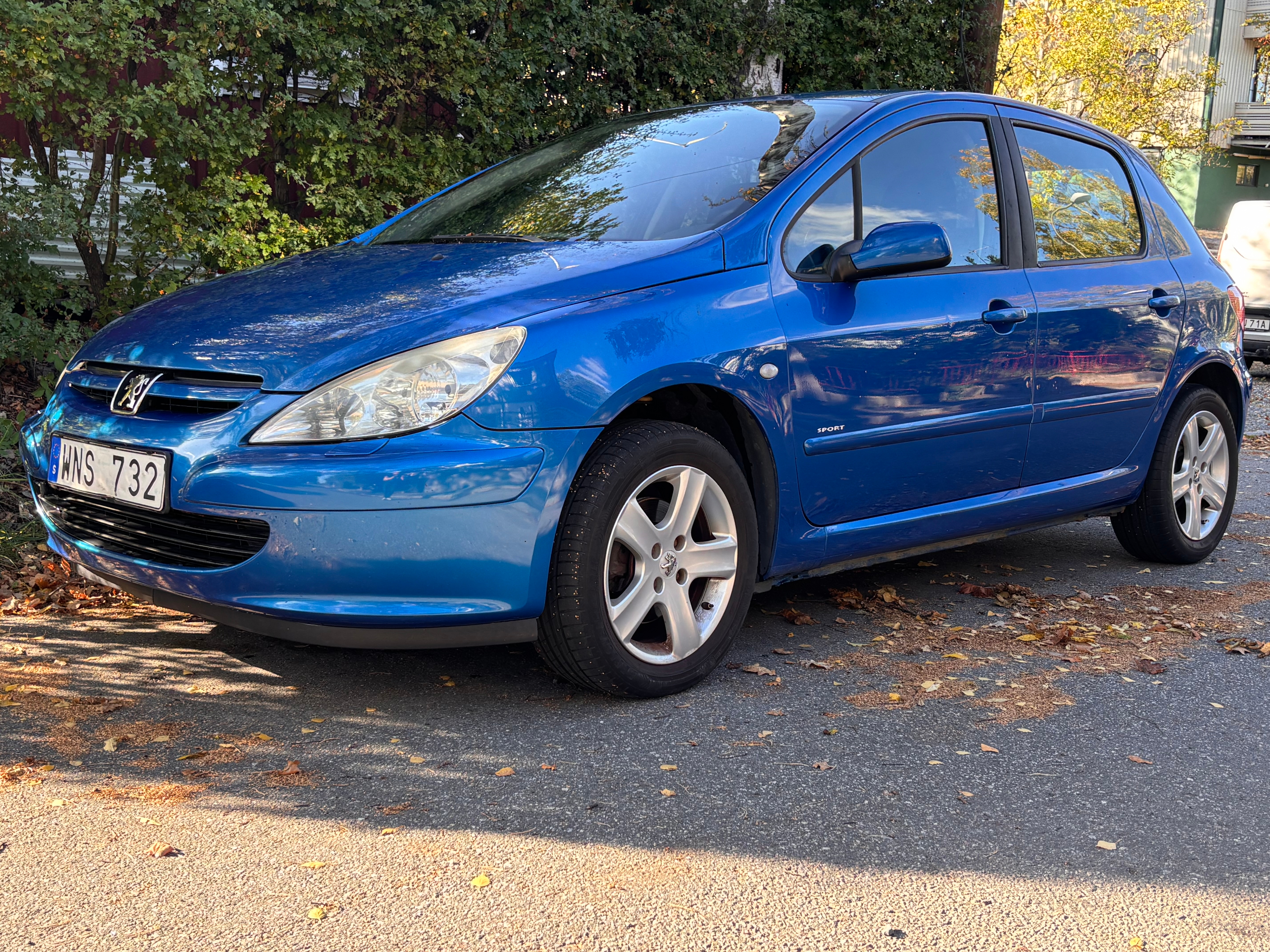 Peugeot 307