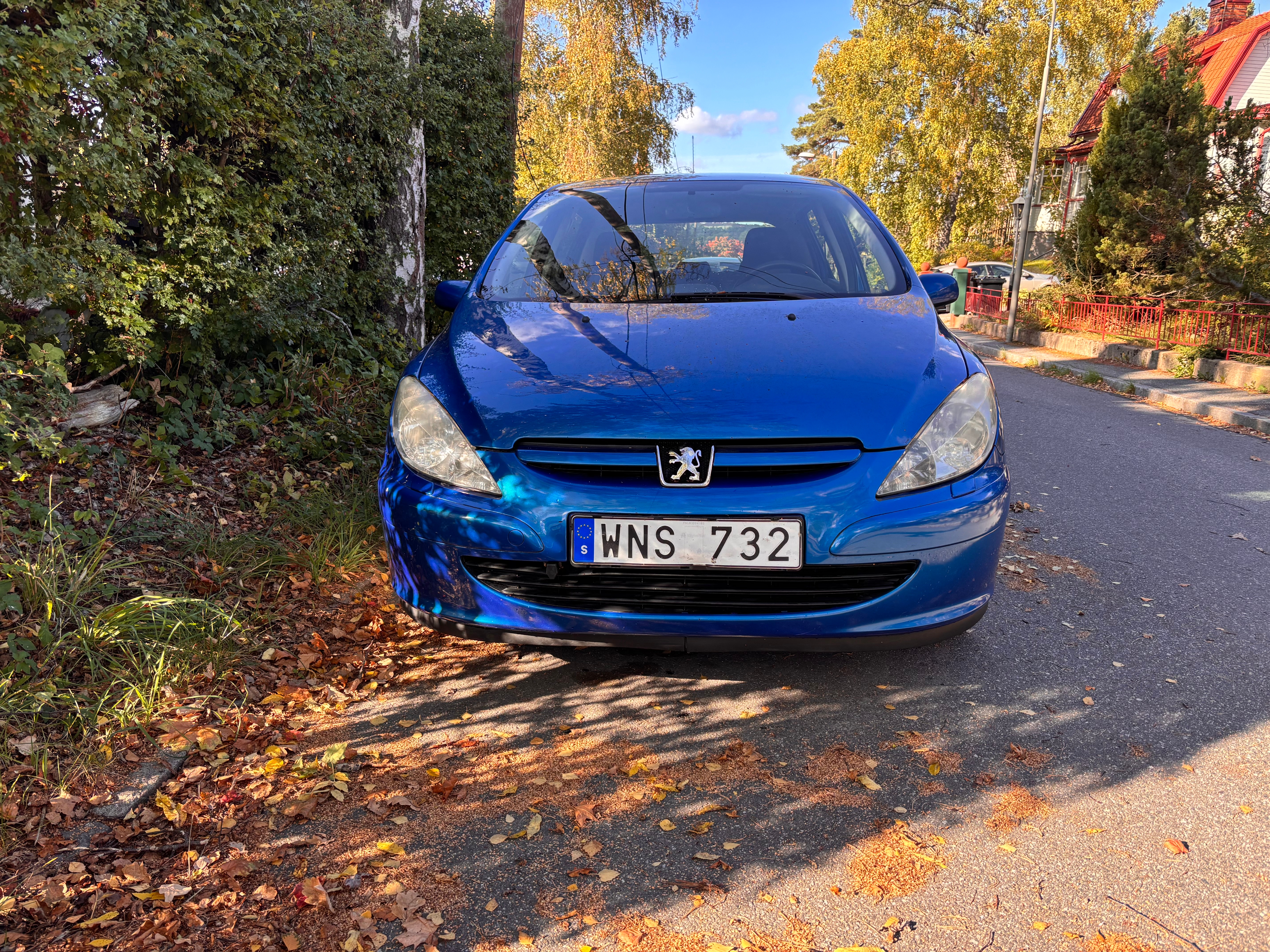 Peugeot 307 5-dörrar 2.0 Manuell 2005, photo 3/4