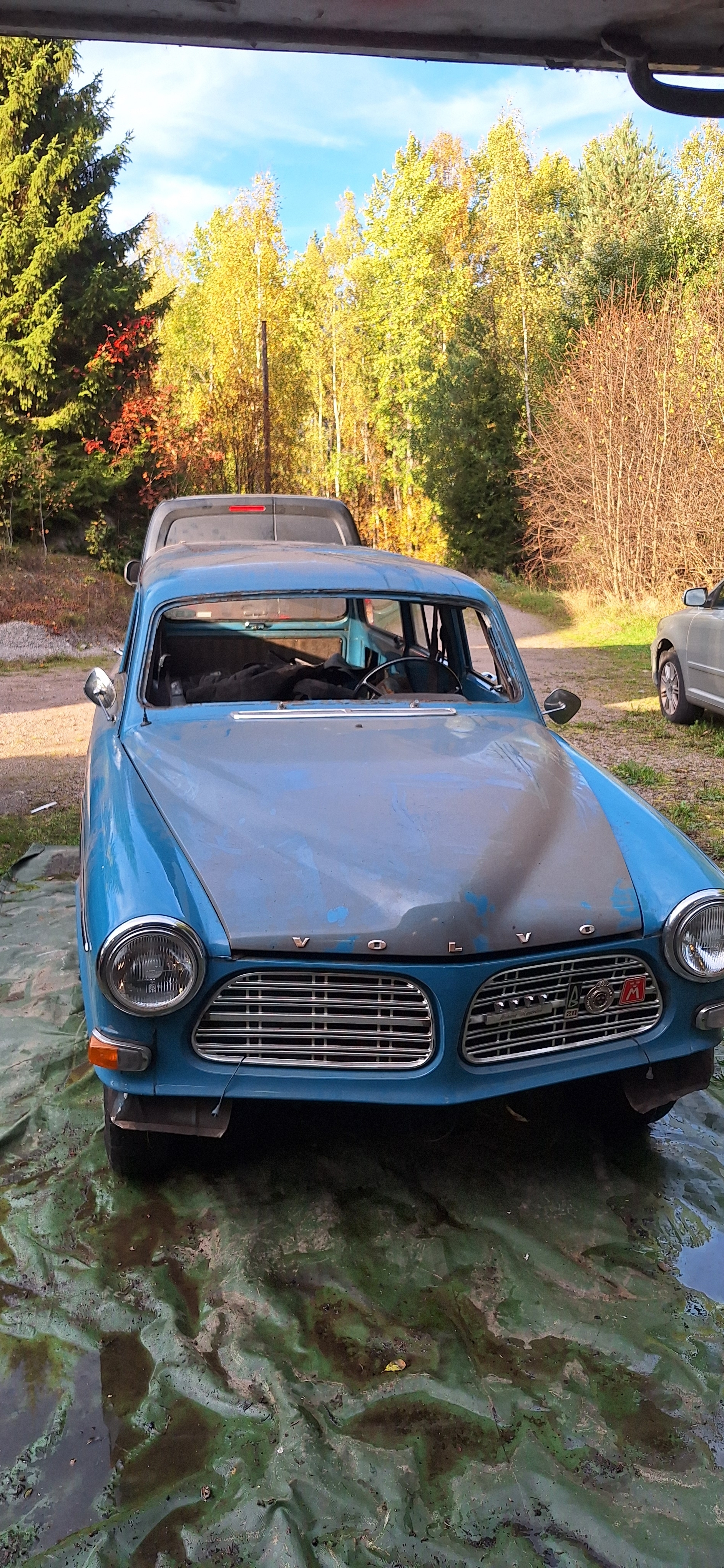 Volvo Amazon