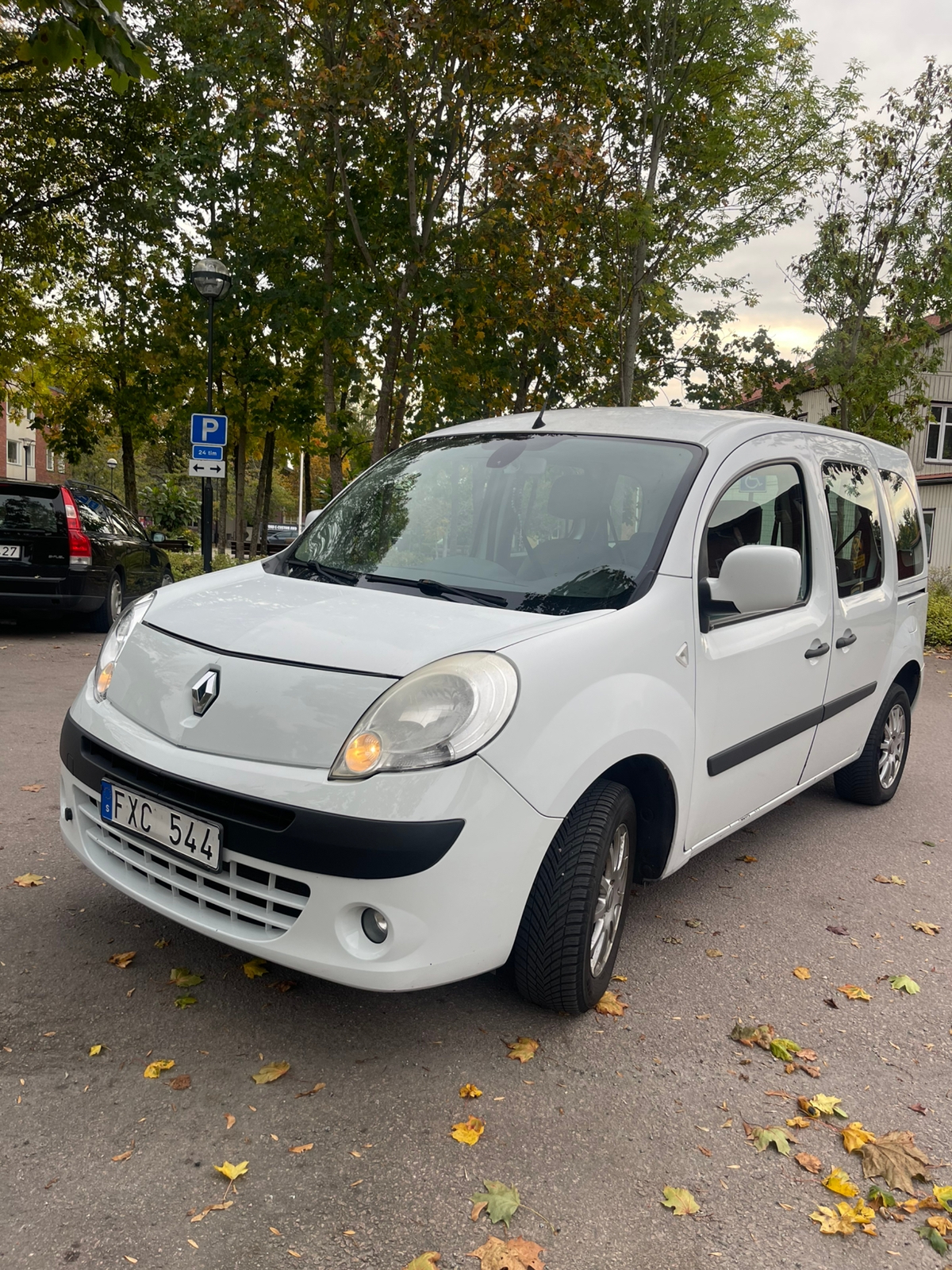Renault Kangoo 2009, photo 4/5