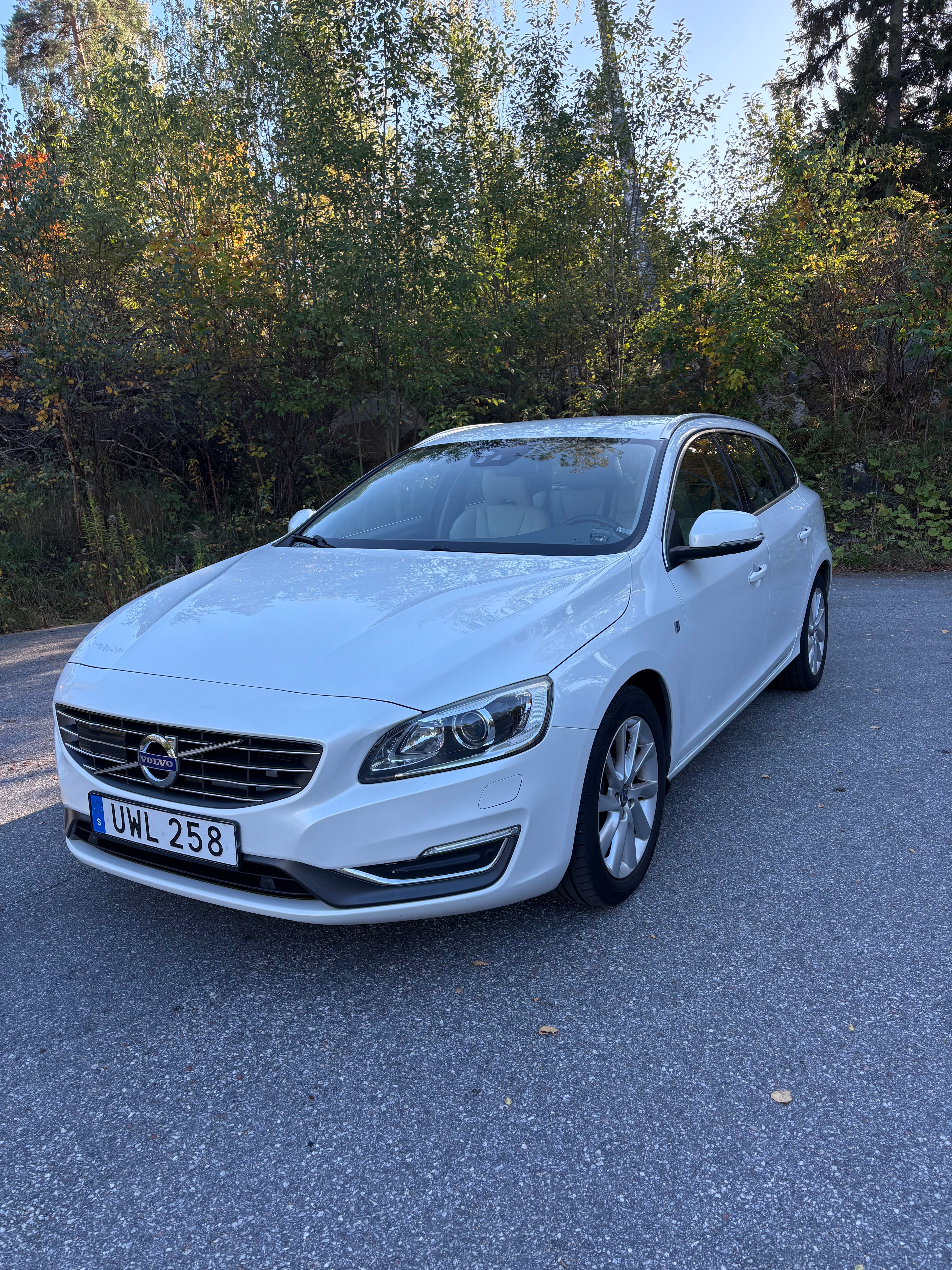 Volvo V60
