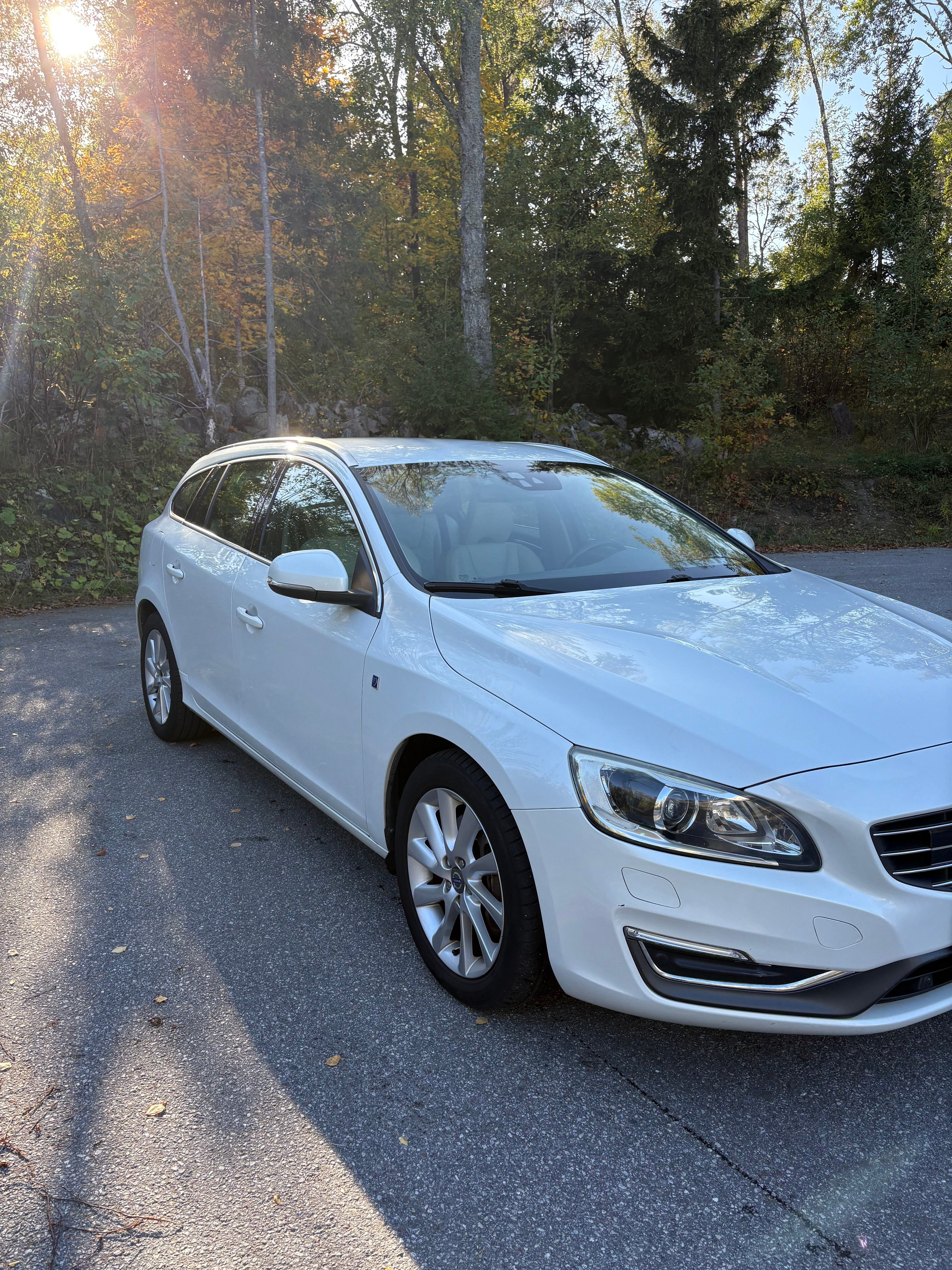 Volvo V60 D4 AWD Geartronic 2015, bild 2/10