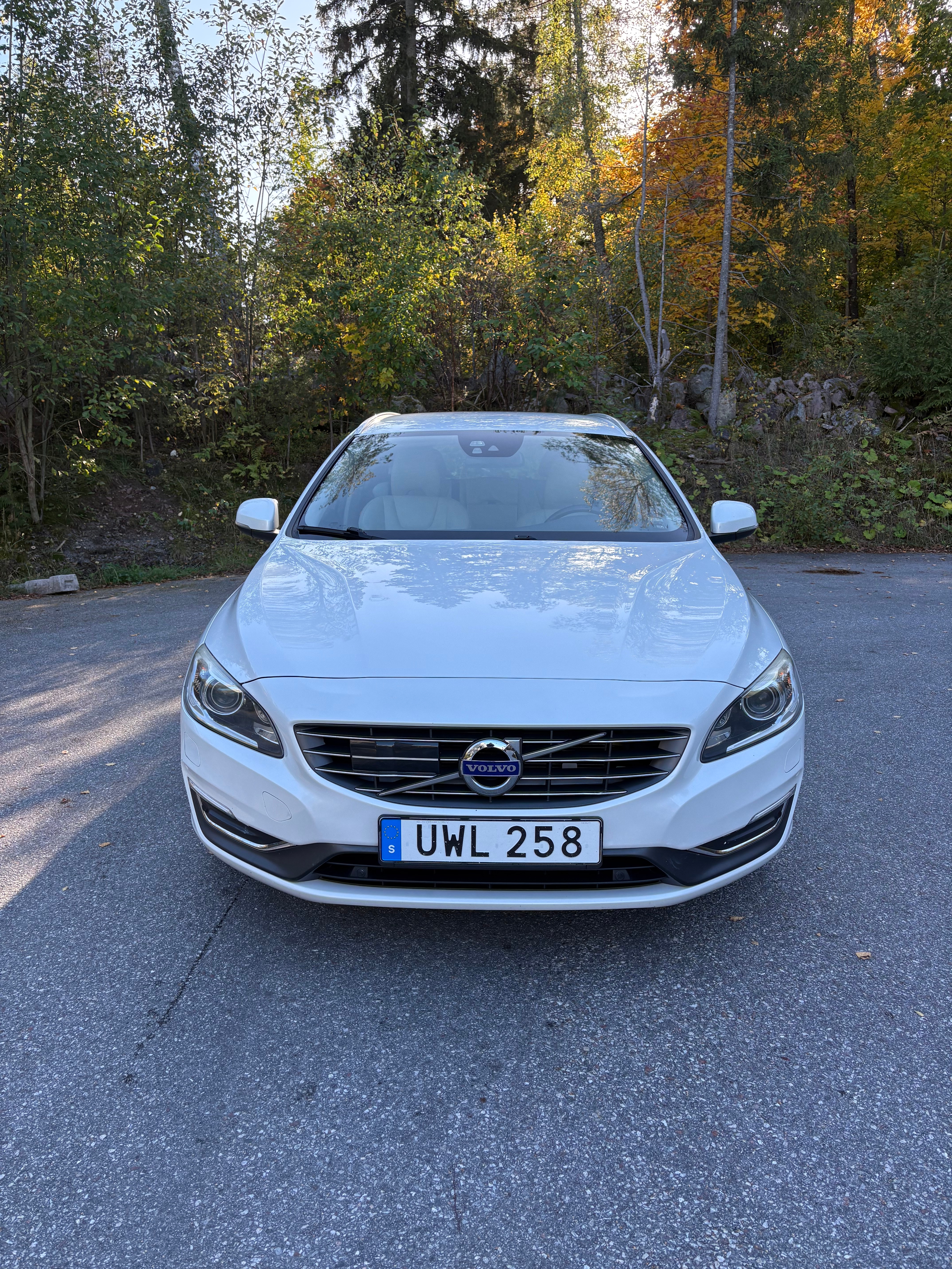 Volvo V60 D4 AWD Geartronic 2015, bild 3/10