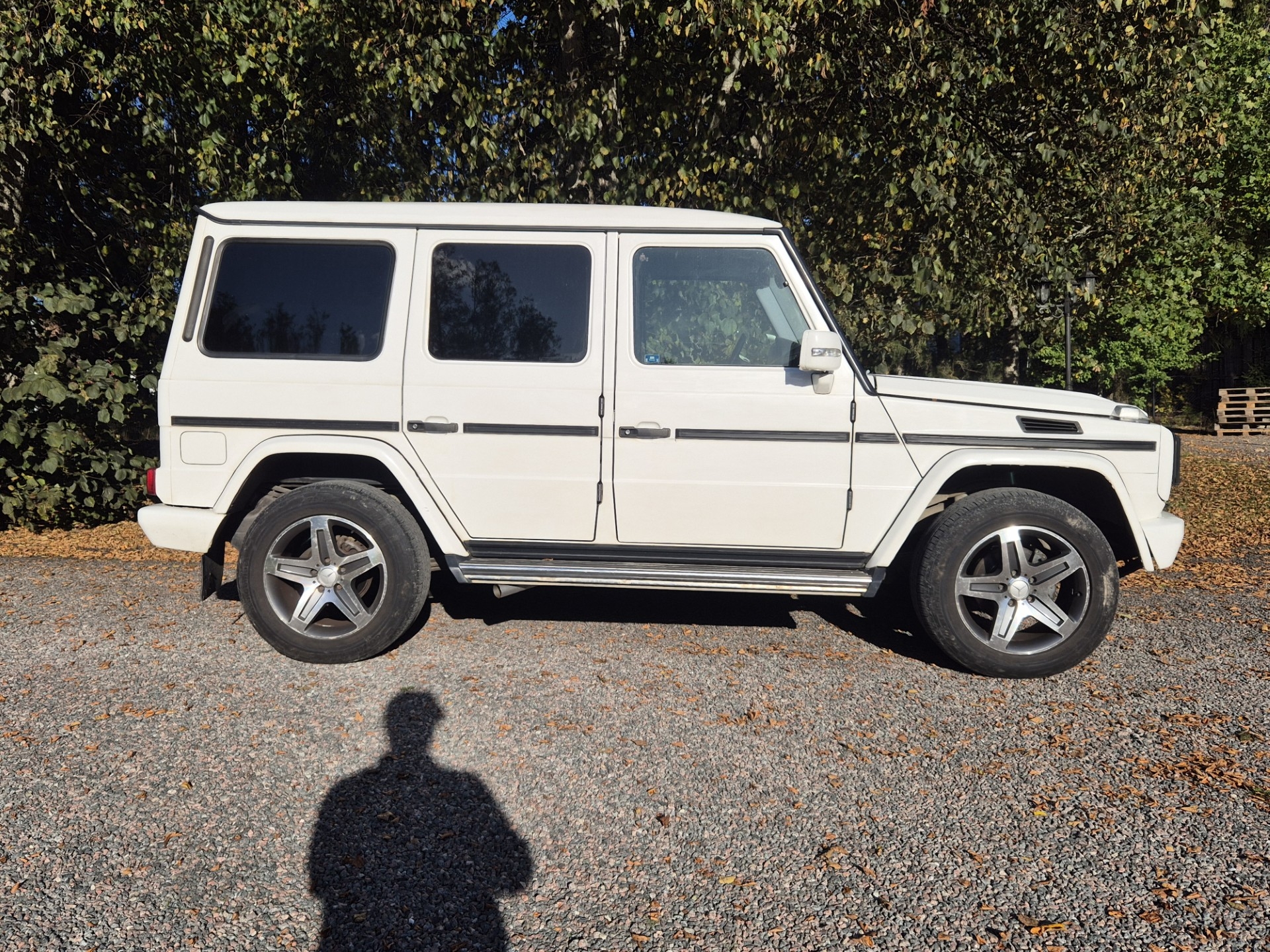 Mercedes-Benz G 350 CDI L 7G-Tronic 2010, photo 7/10