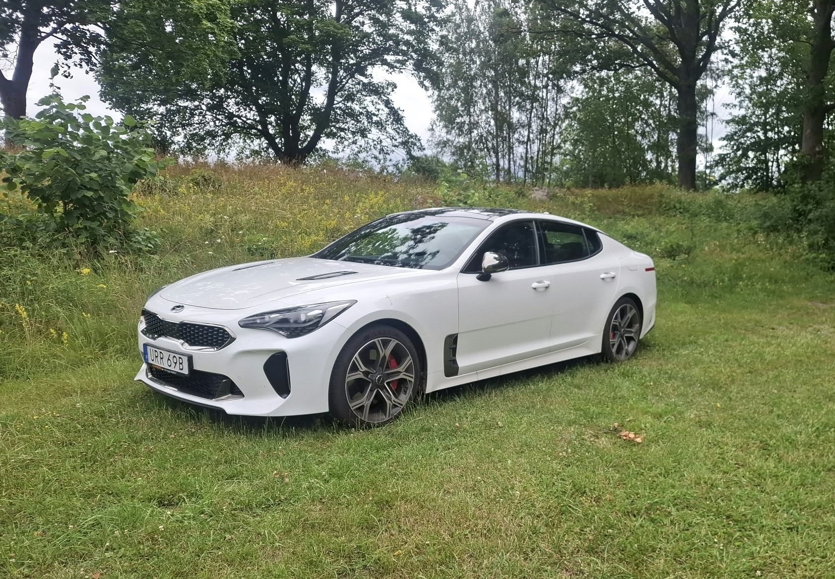 Kia Stinger 3.3 T-GDI V6 GT 2019, bild 3/10