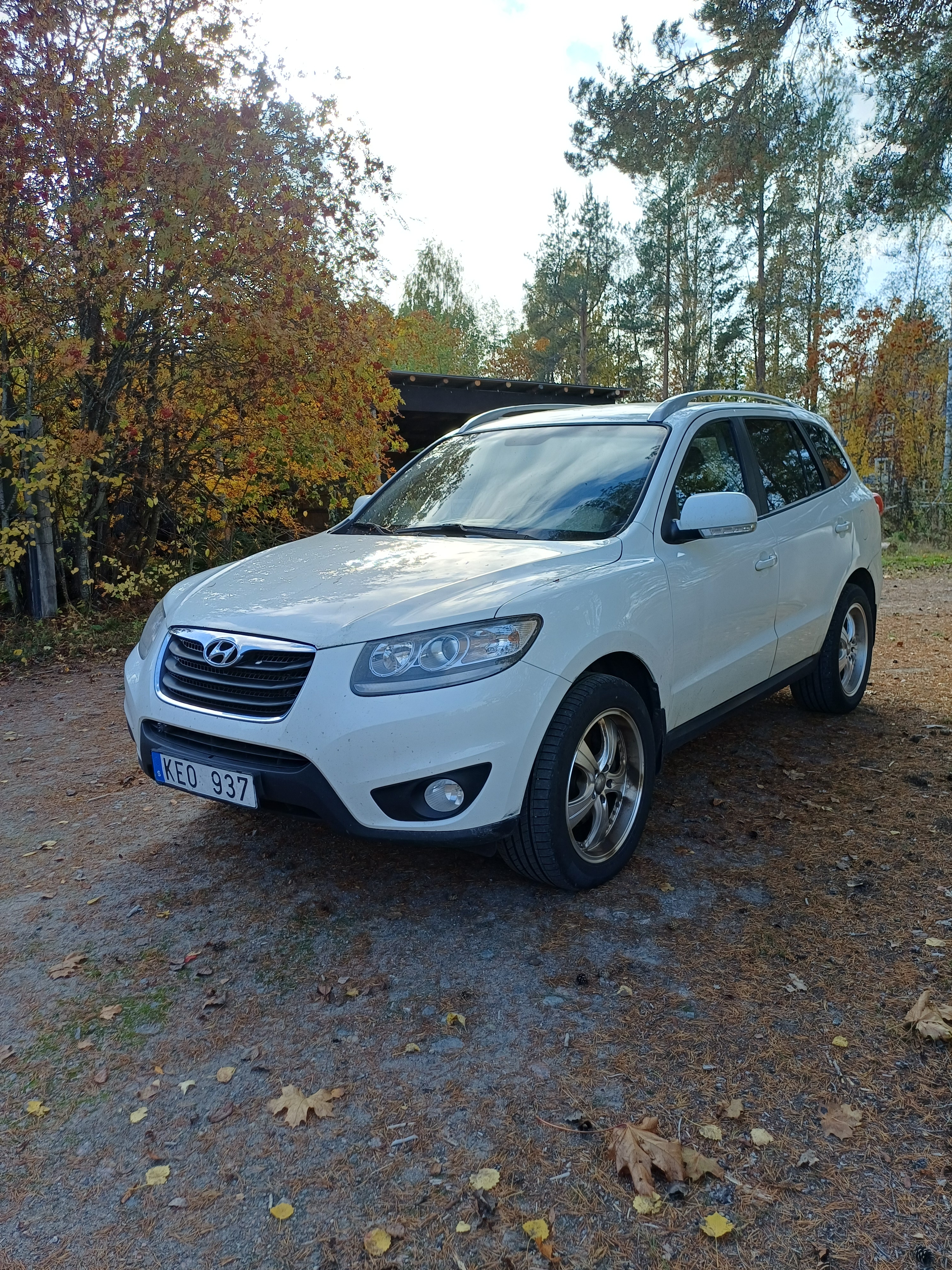 Hyundai Santa Fe 2010, bild 2/8