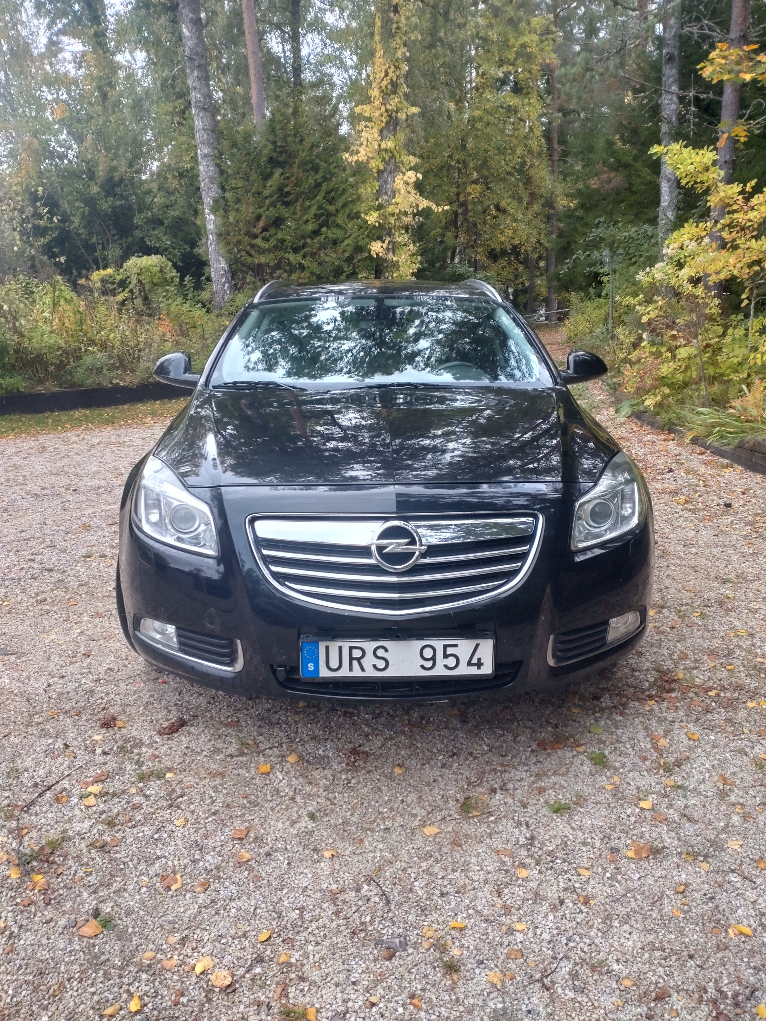 Opel Insignia 2013, bild 5/10