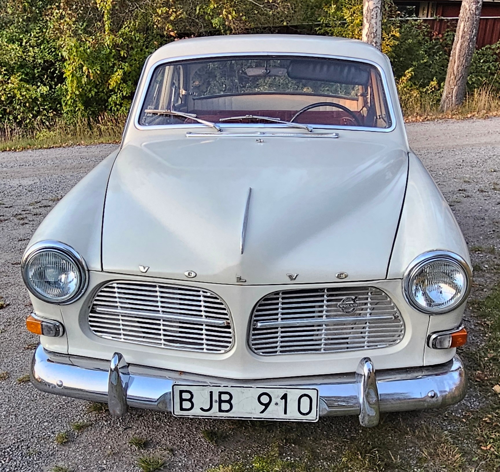 Volvo Amazon