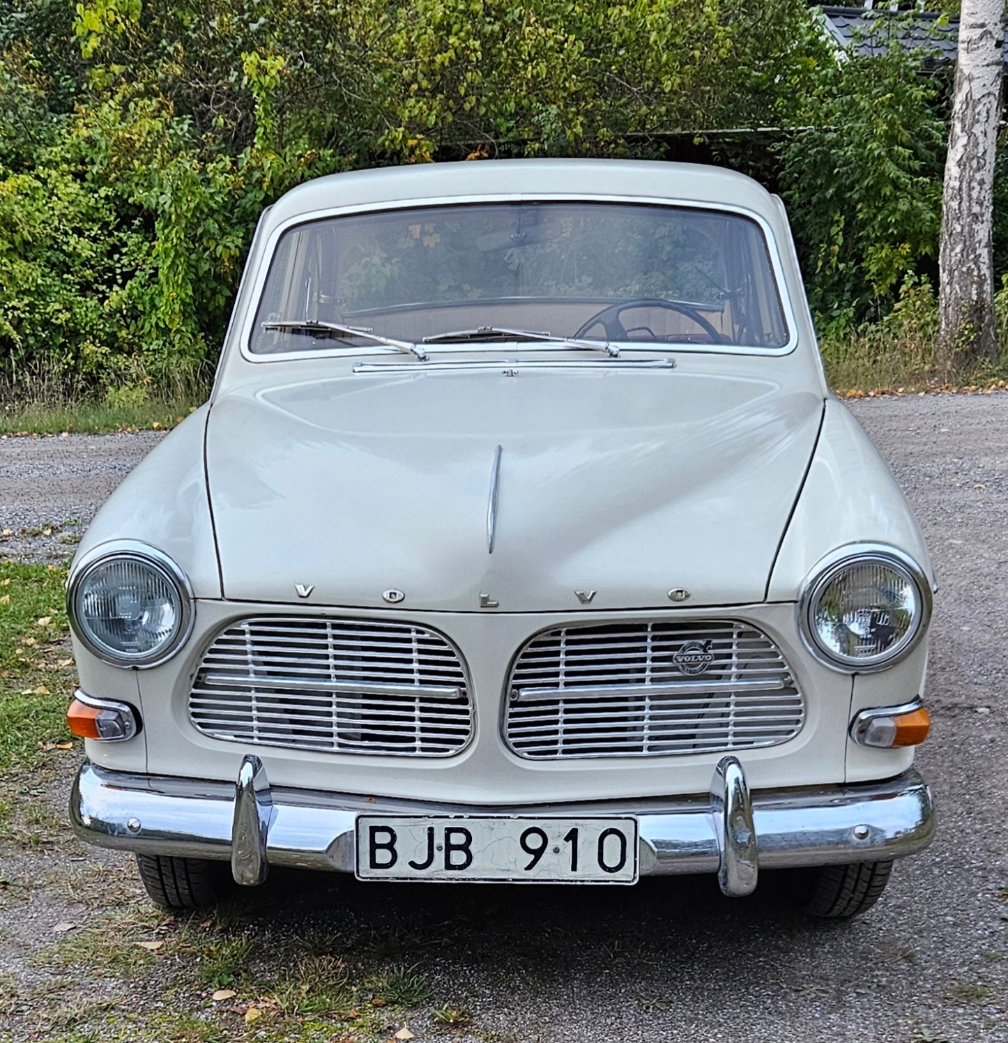 Volvo Amazon