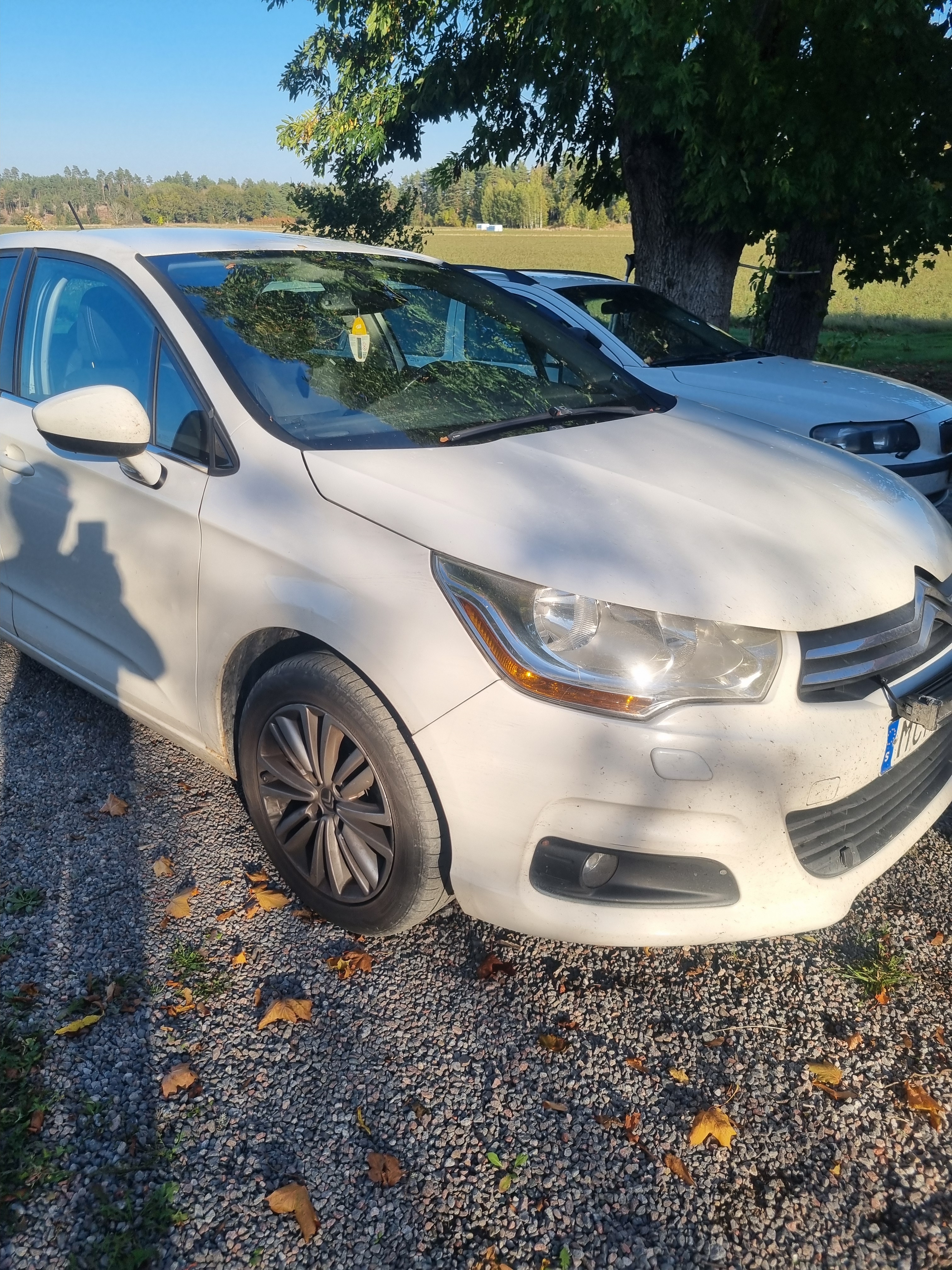 Citroen C4 1.6 e-HDi Airdream EGS 2011, photo 2/10