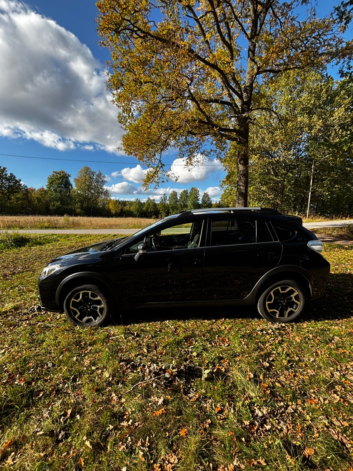 Subaru XV 2.0 4WD Lineartronic 2017, bild 2/10