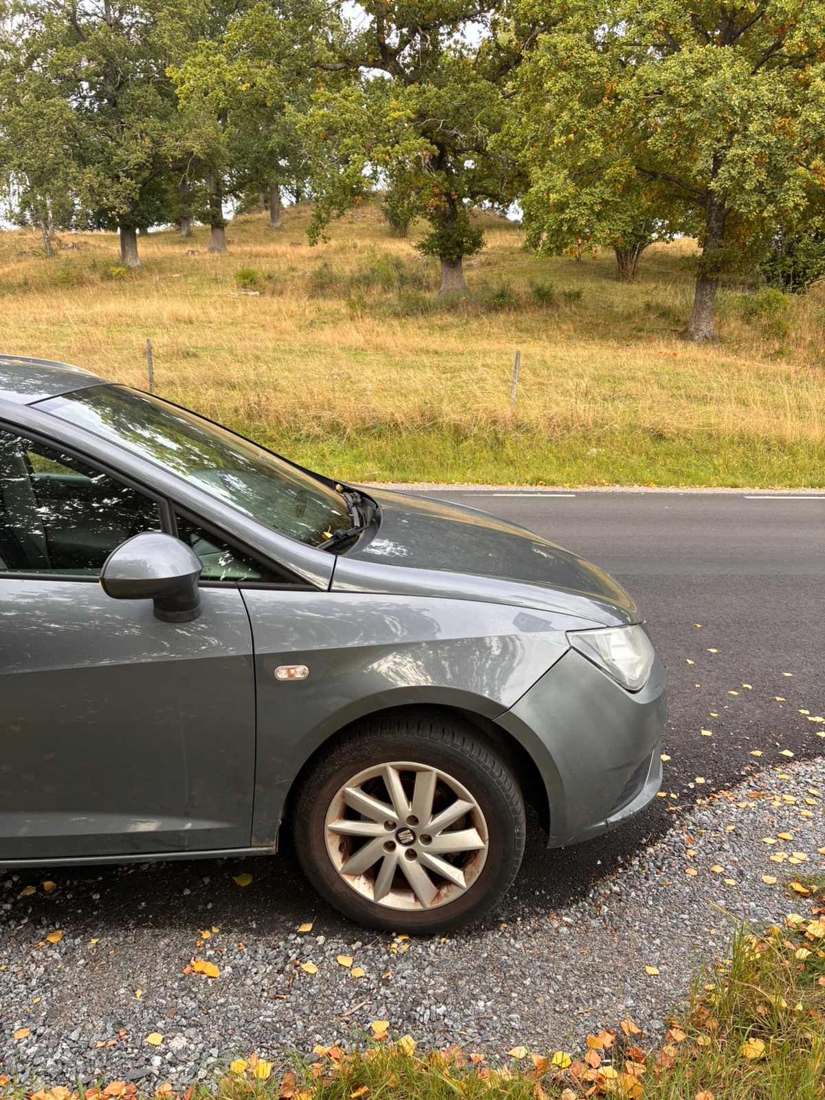 Seat Ibiza ST 1.2 TSI Manuell 2014, bild 6/10