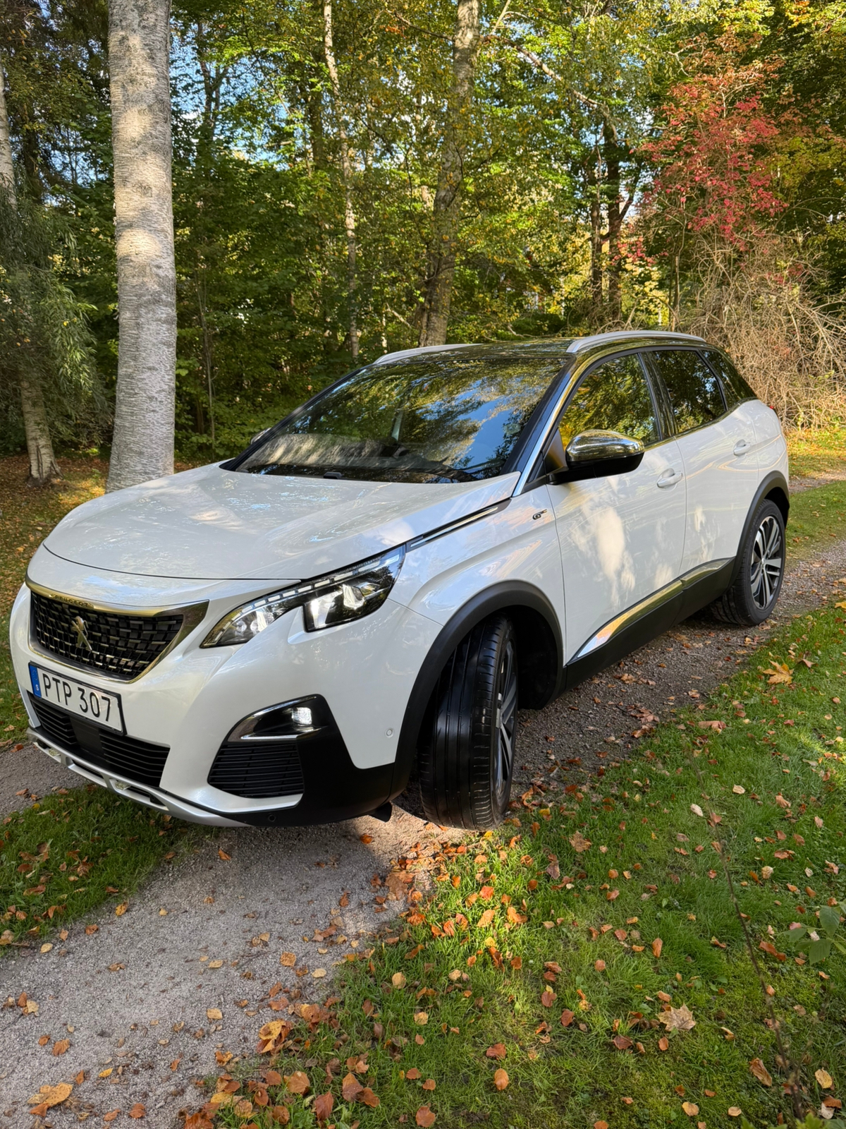 Peugeot 3008 2.0 BlueHDi 180 EAT 2018, photo 3/10