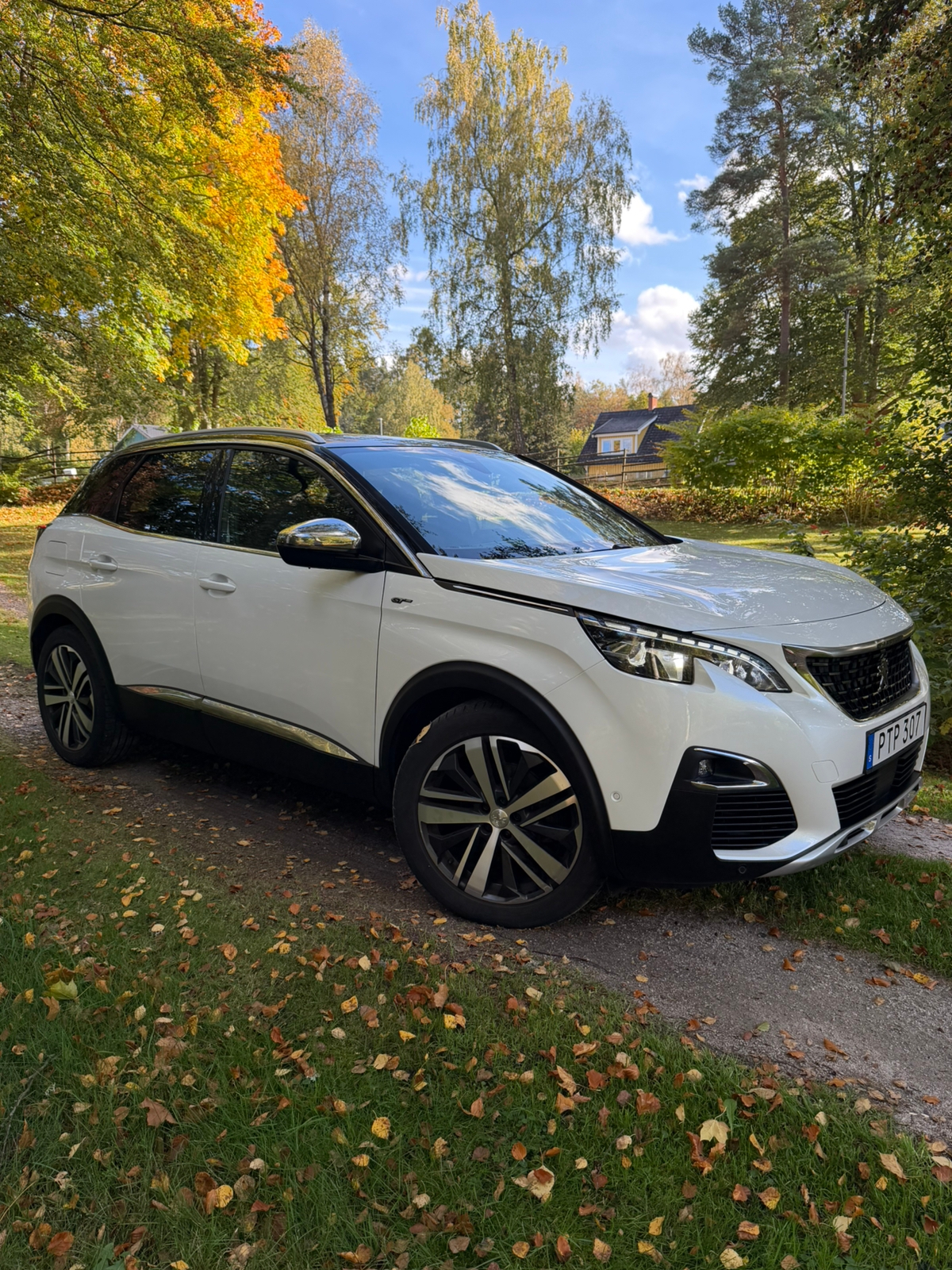 Peugeot 3008 2.0 BlueHDi 180 EAT 2018, photo 2/10