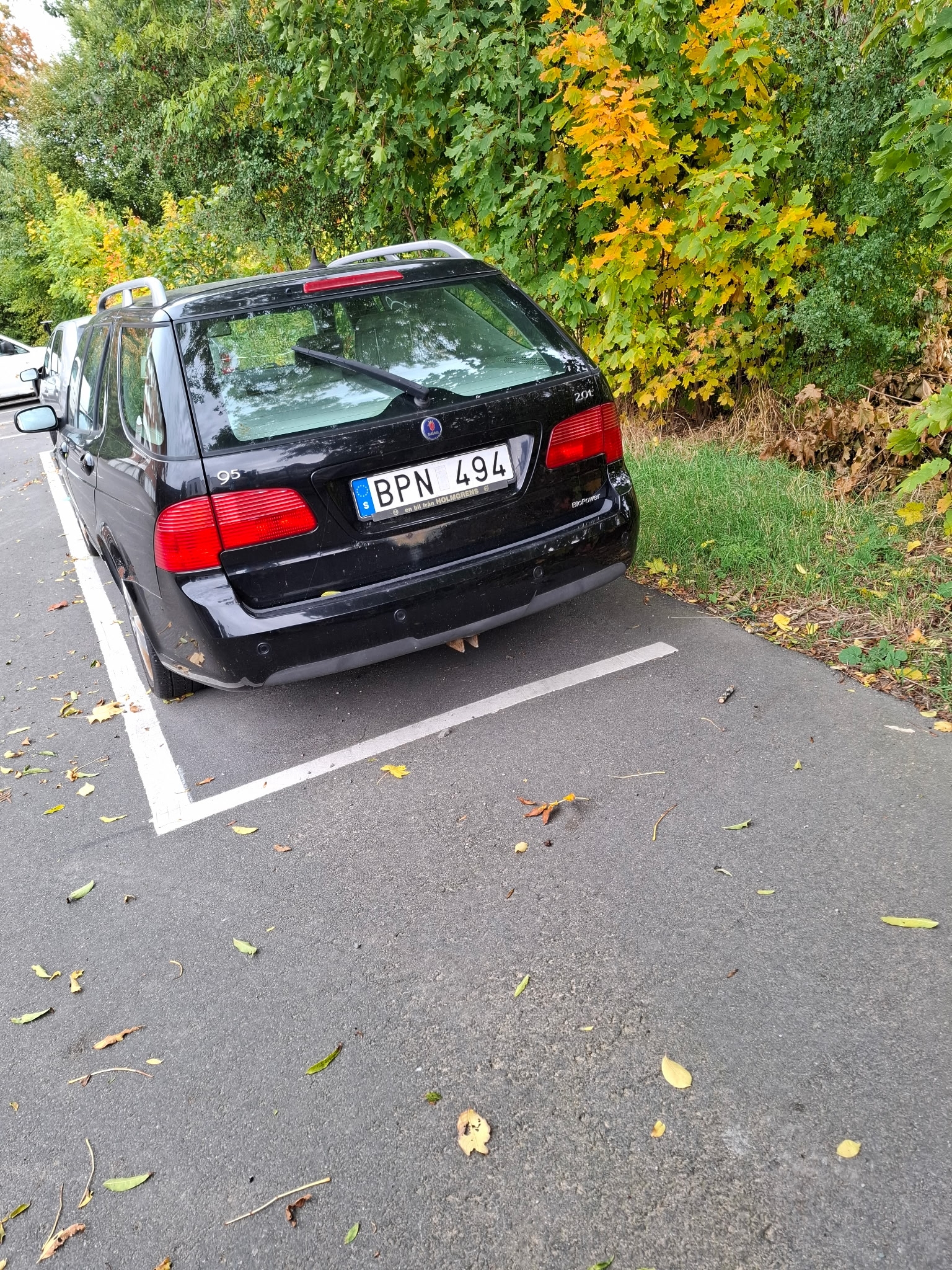 Saab 9-5 2008, bild 2/2